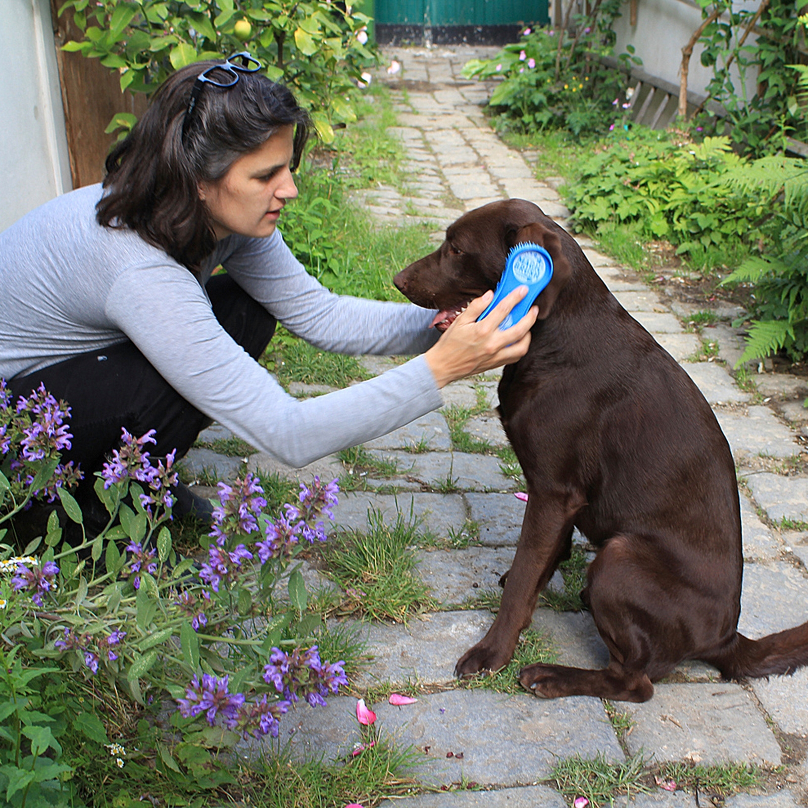 Kerbl Hundebürste MagicBrush DOG Blue Sky