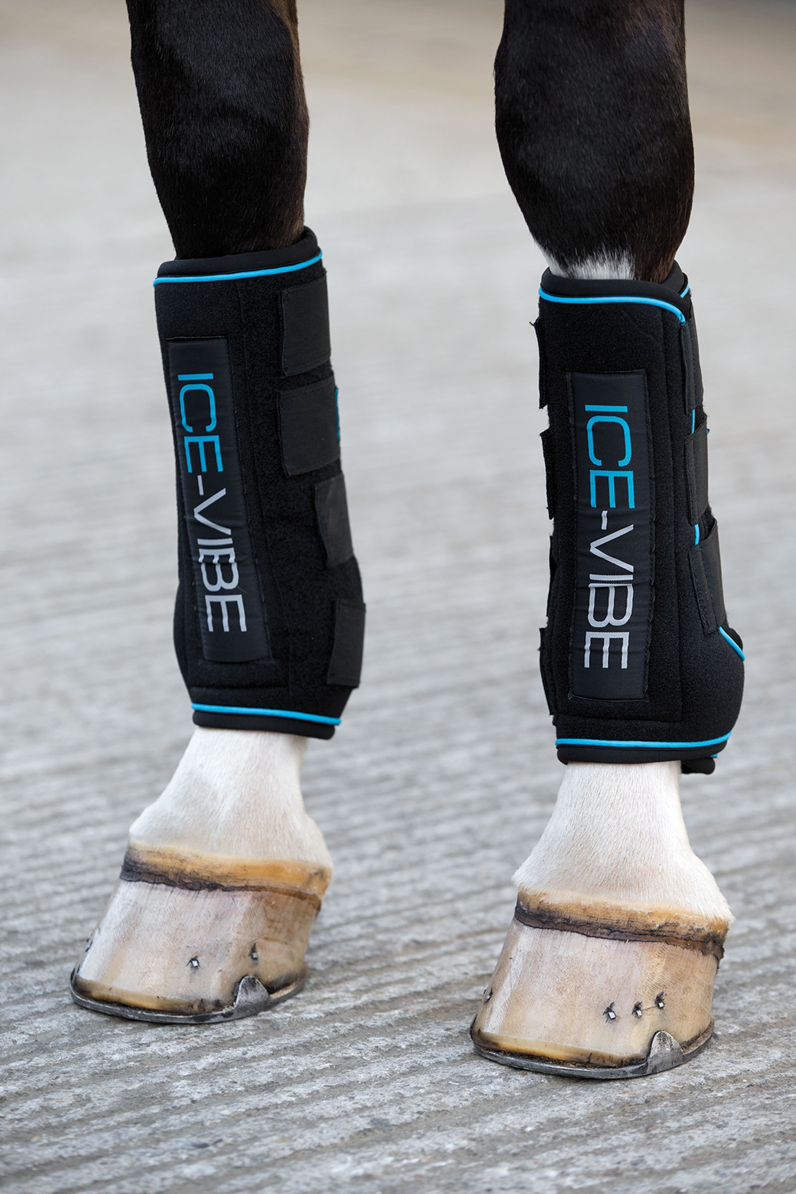 Horseware Ice-Vibe Gamaschen