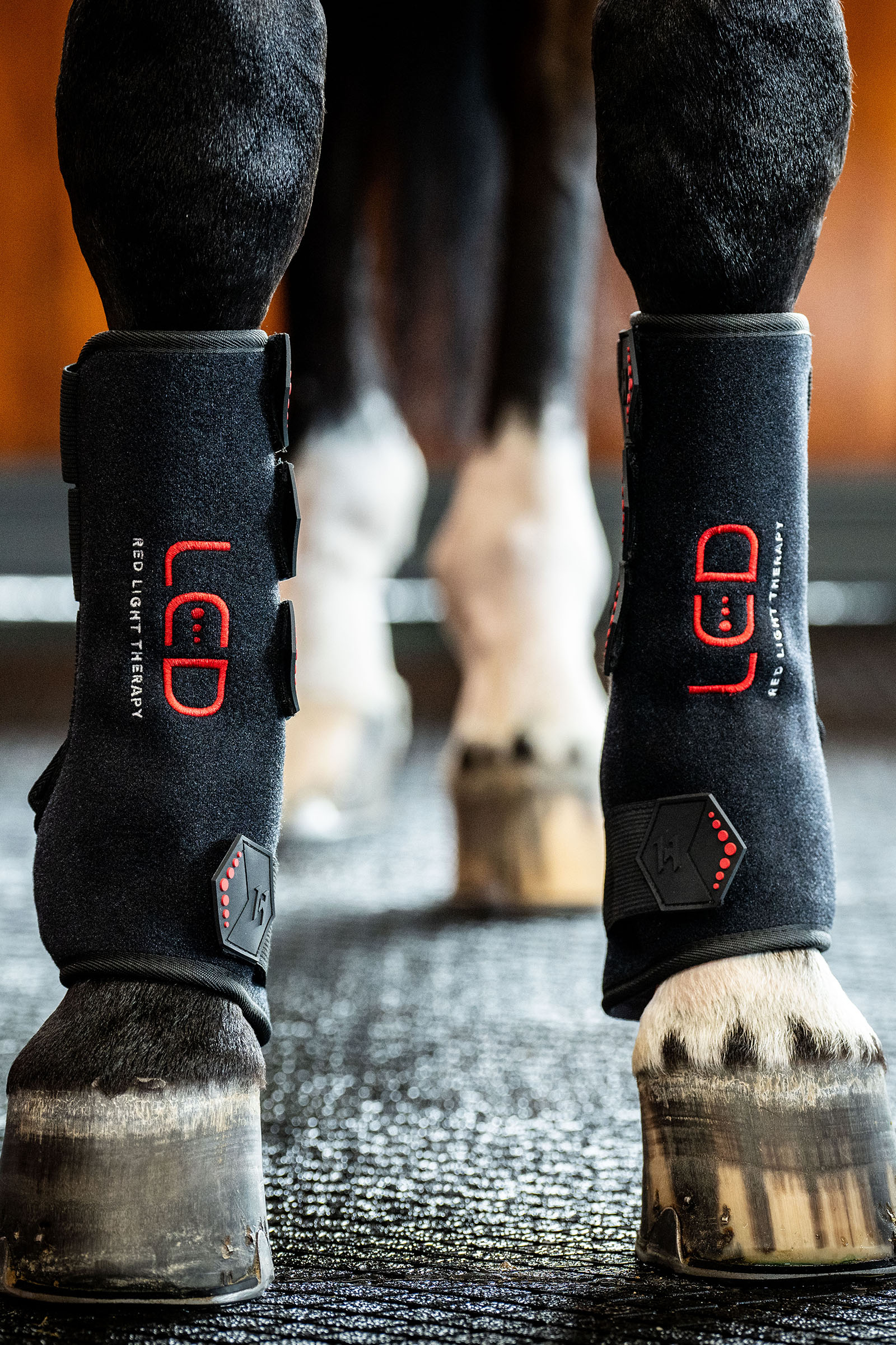 Horseware LED Rotlicht Therapie Gamasche (1 Stk.)