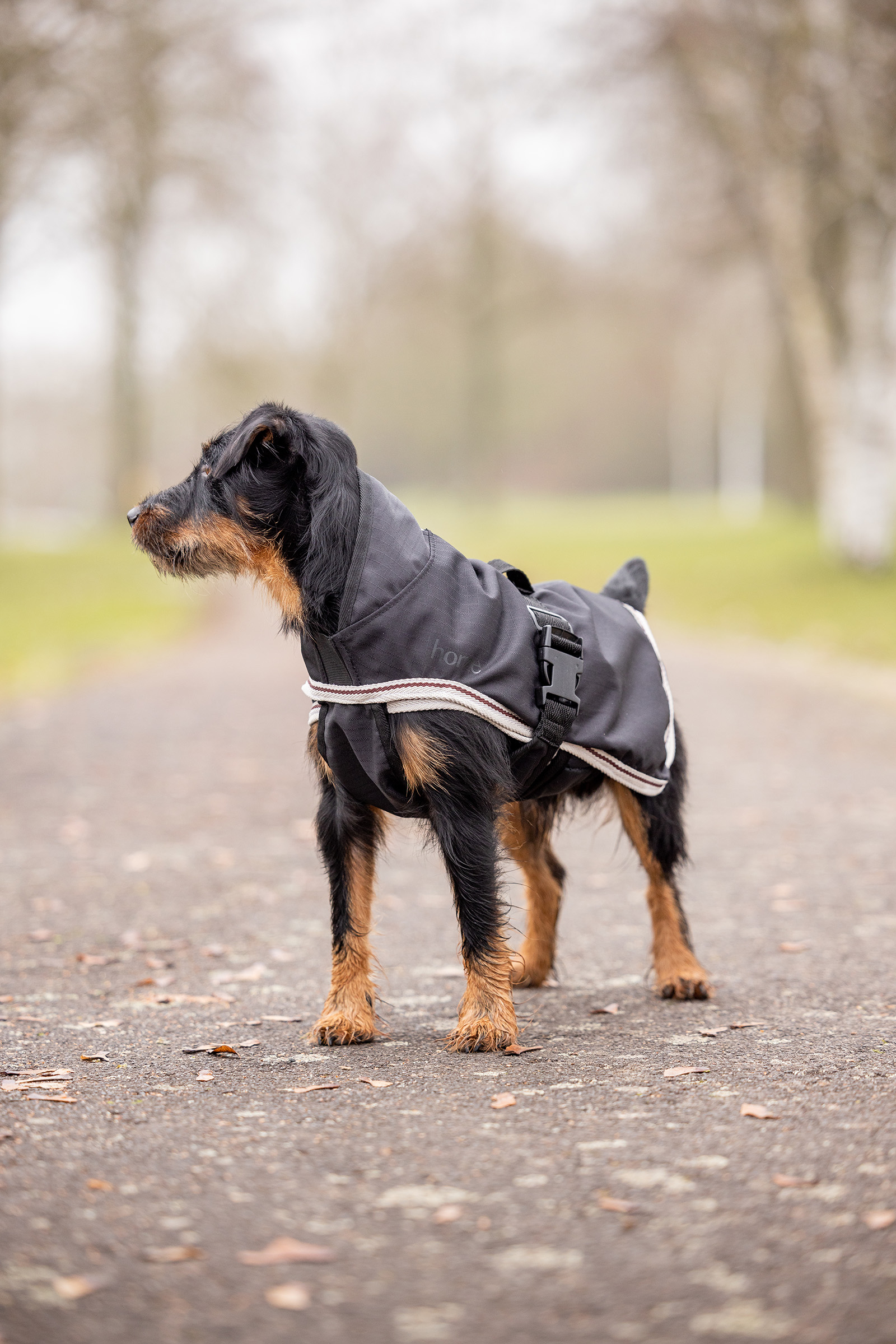 Horze Sudbury 2-in-1 Hundemantel, 0g, 100g