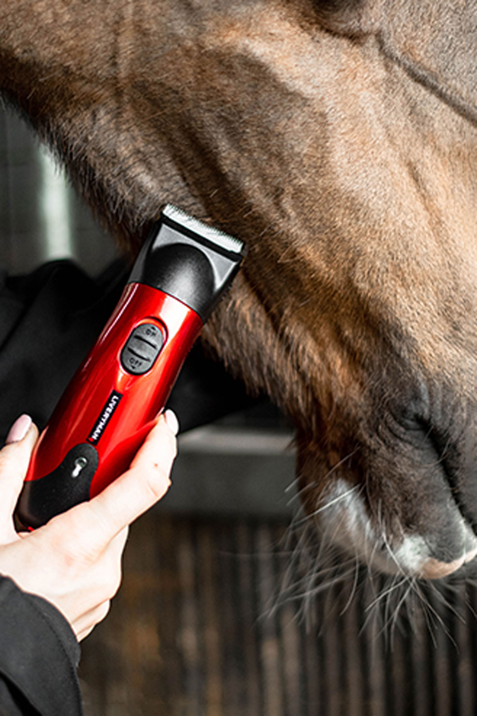 Liveryman Classic kabelloser Trimmer, Set