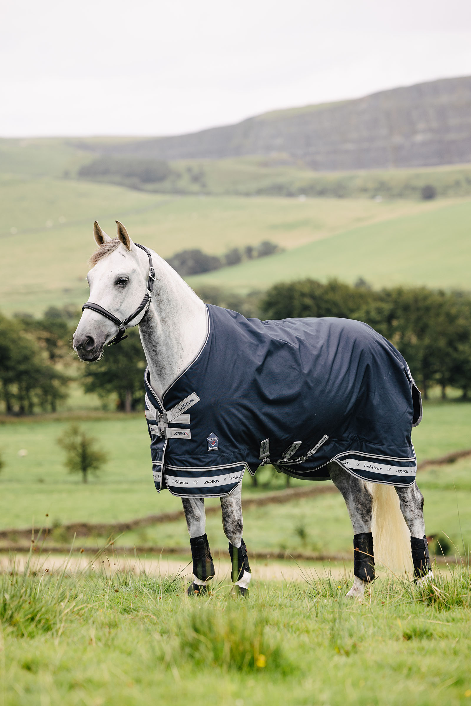 LeMieux Arika Storm-Tek Decke 50g