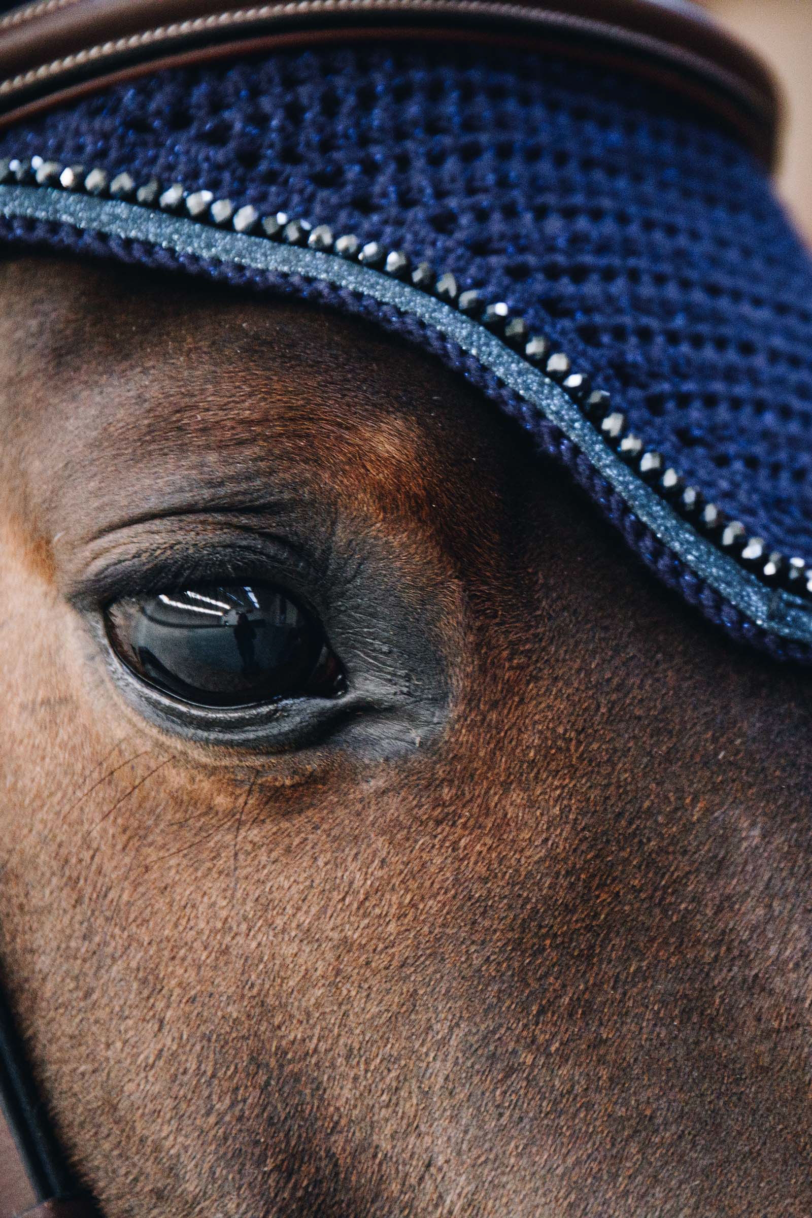 Kentucky Horsewear Wellington Glitter Fliegenhaube