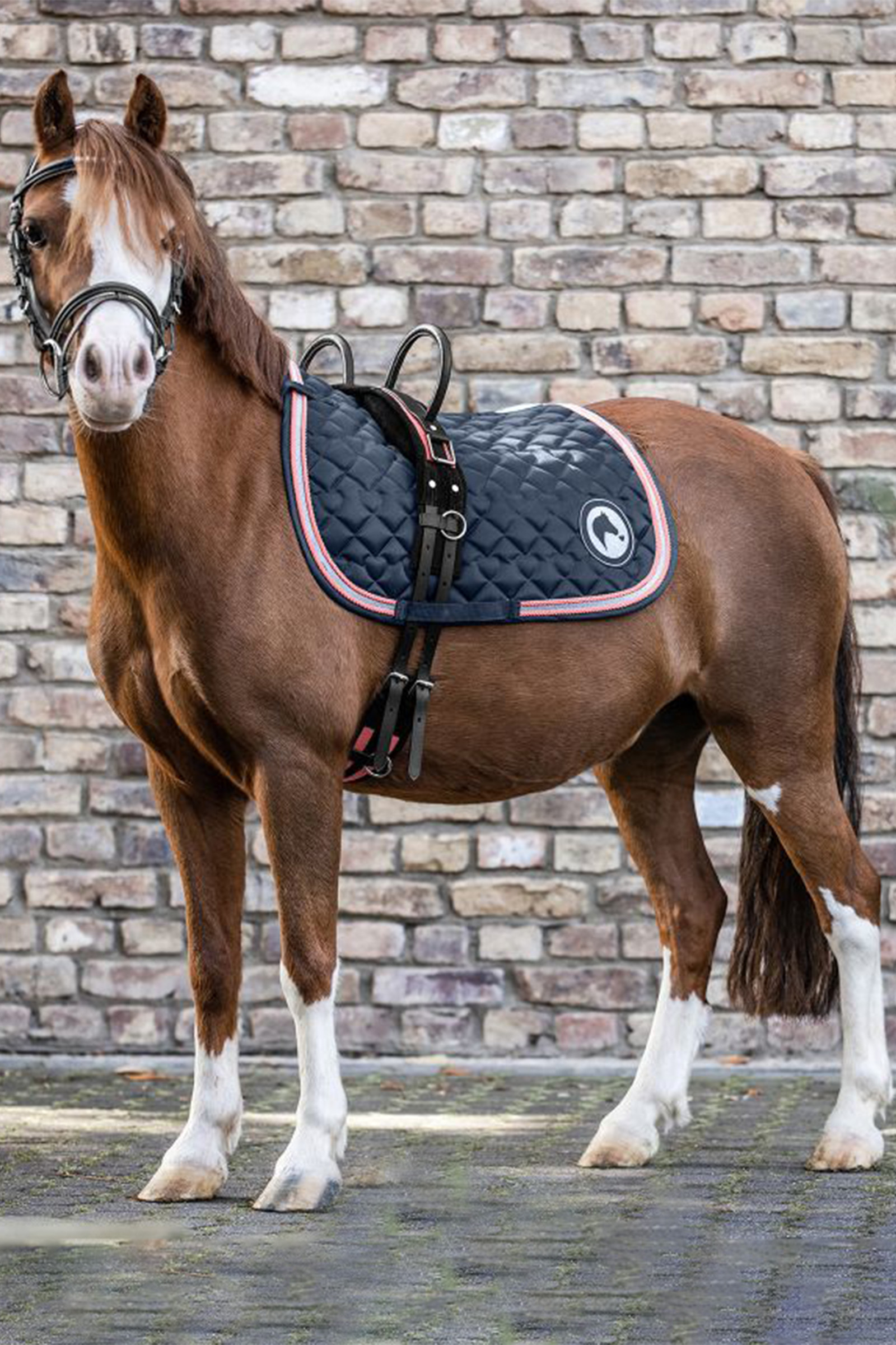 Waldhausen Longiergurt mit zwei Handgriffen