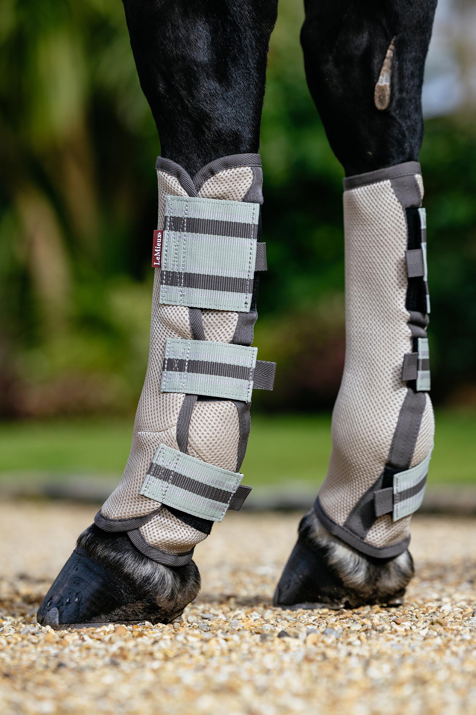 LeMieux Arika Mesh Fliegengamaschen Set 4 St&uuml;ck