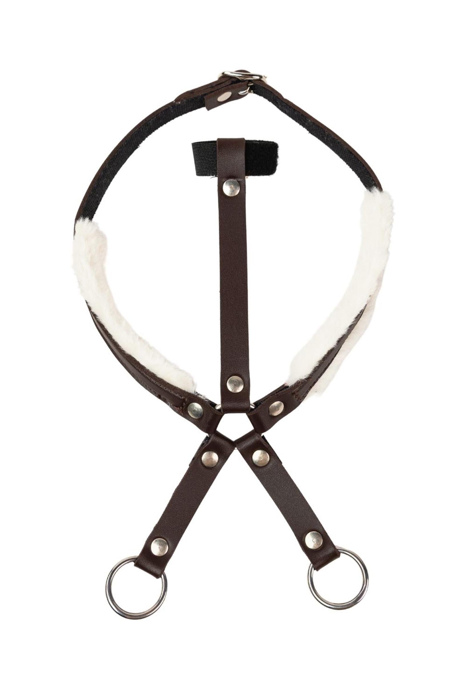 Brown My Hobby Horse Martingal