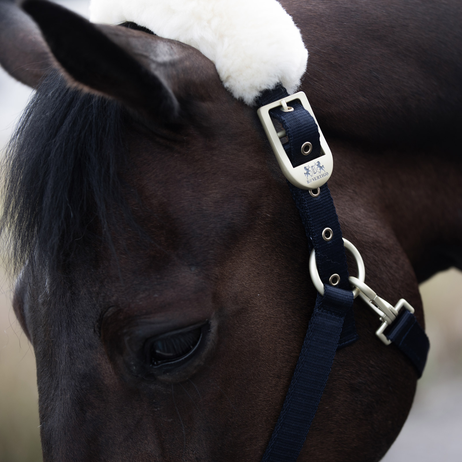 B Vertigo Laurier Halfter mit Lammfell