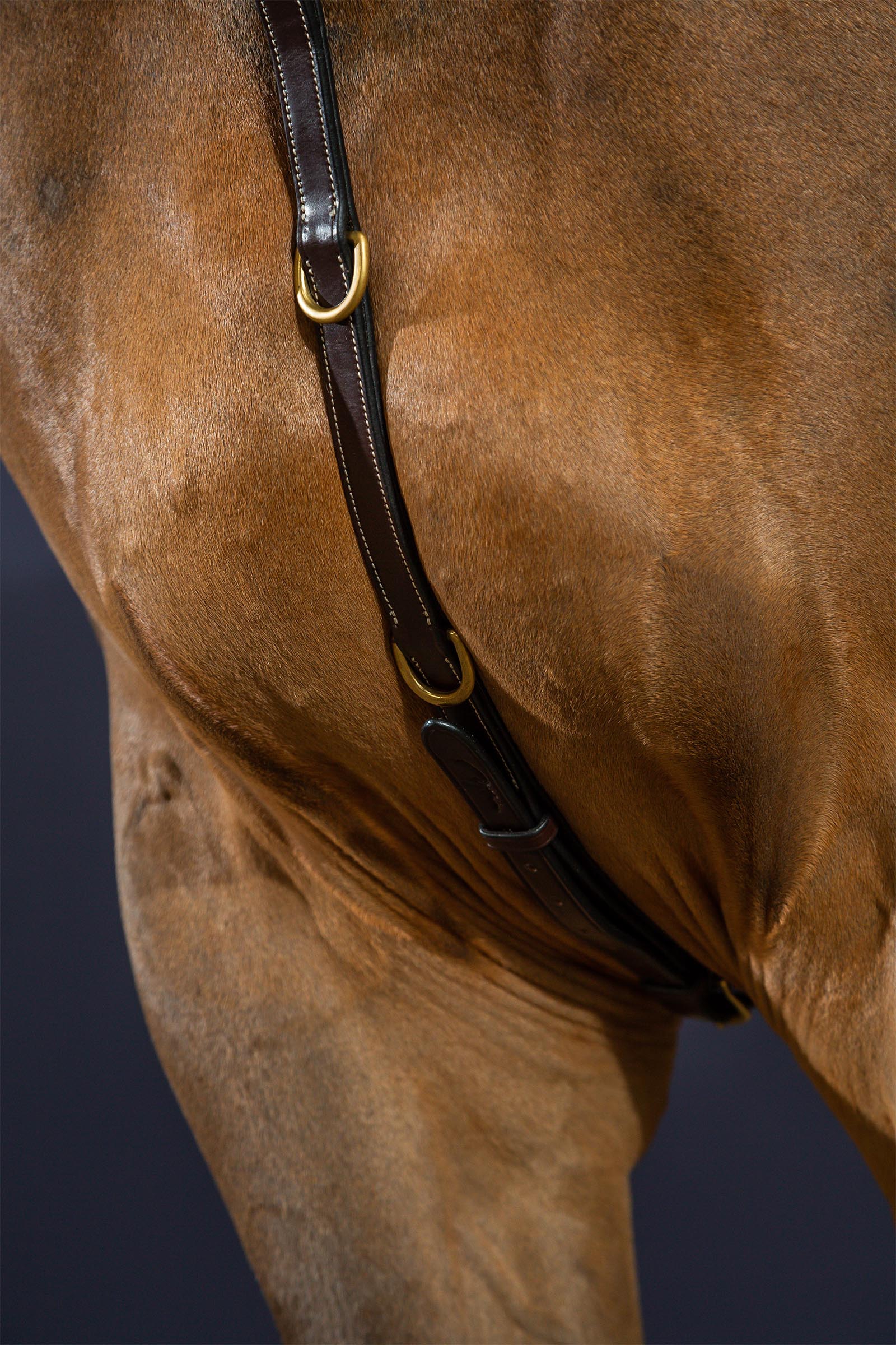 Dy'on D Collection Vorderzeug mit Br&uuml;cke