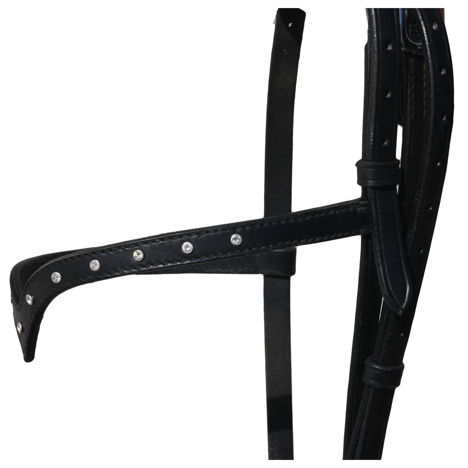 Karlslund Stjarni Reithalfter mit Stirnriemen