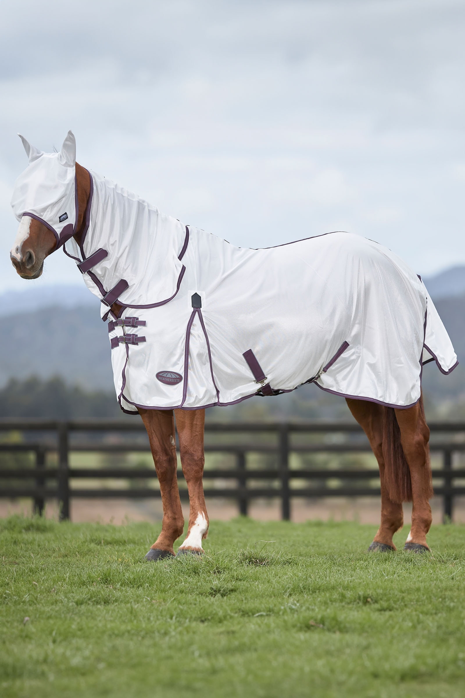 Weatherbeeta Comfitec Essential Mesh Maske