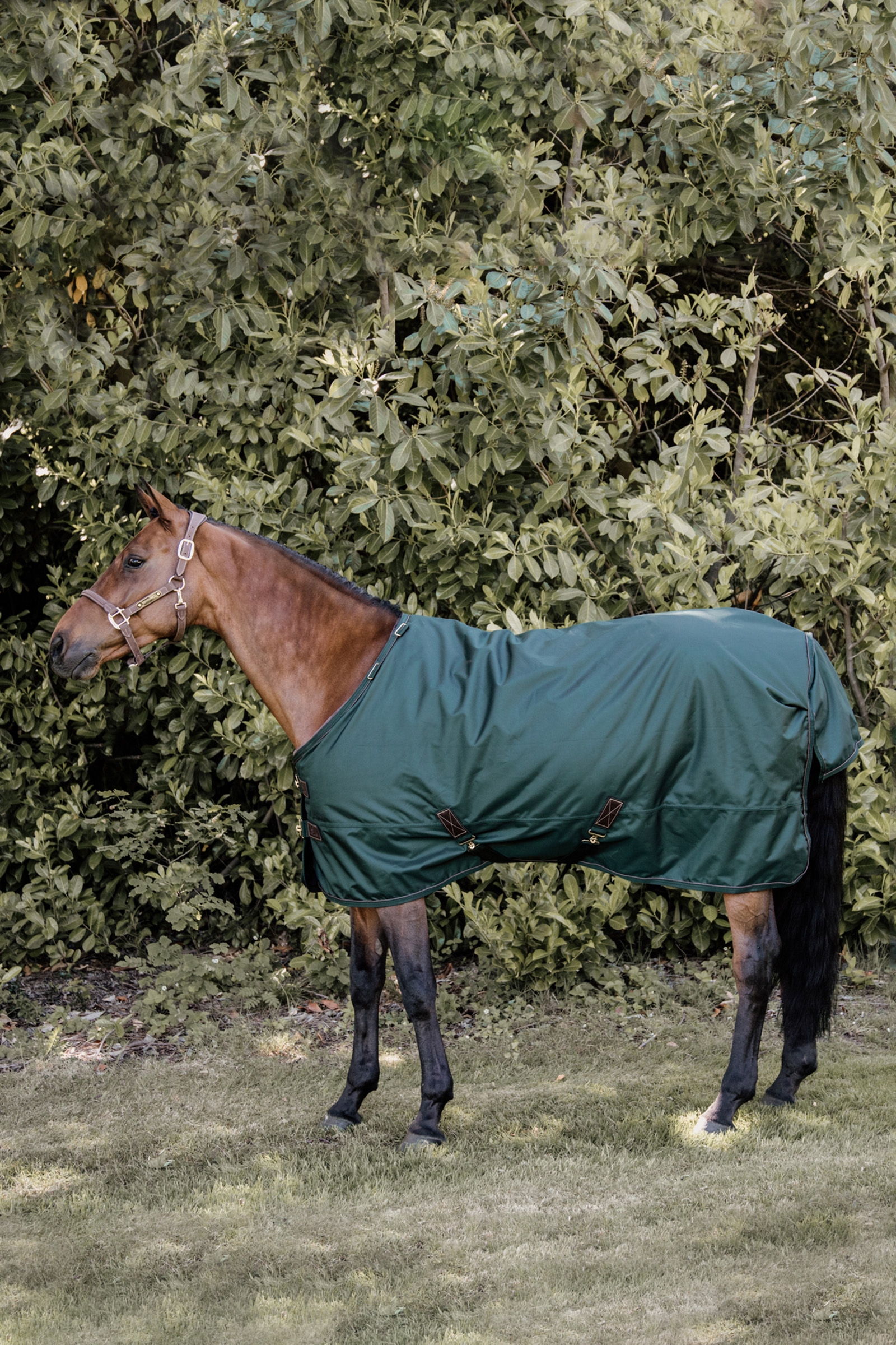 Dark Green Kentucky Horsewear All Weather Weidedecke, 160g