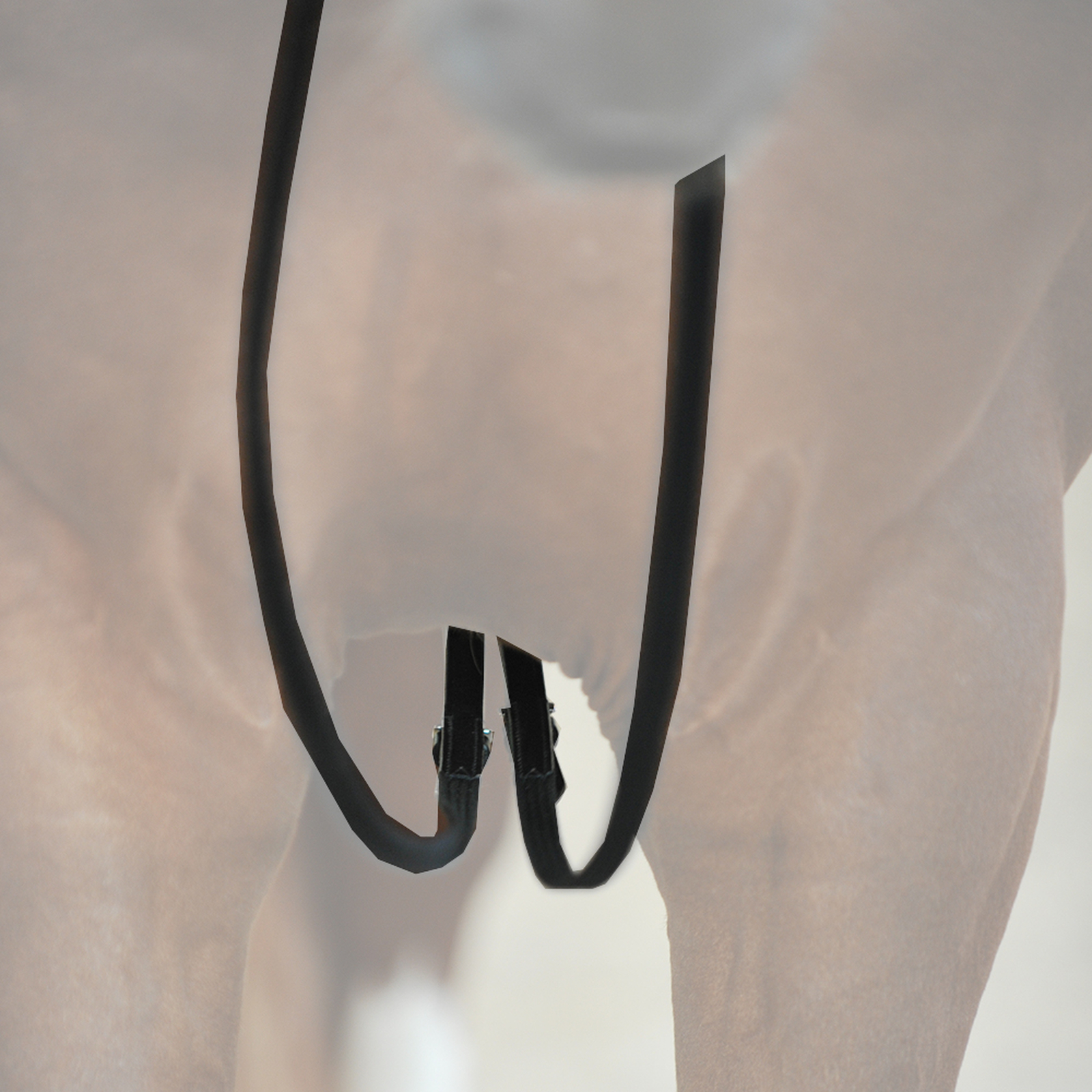 Kavalkade Gurt-Schlaufzügel