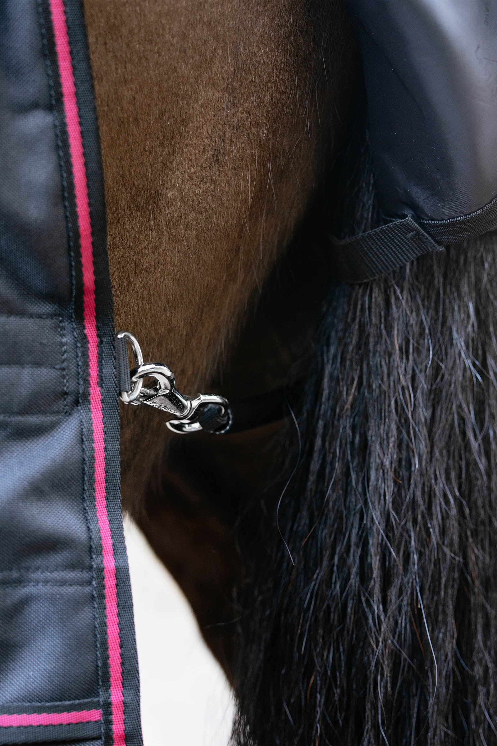 LeMieux Arika Storm-Tek Outdoordecke mit abnehmbarem Halsteil, 100 g