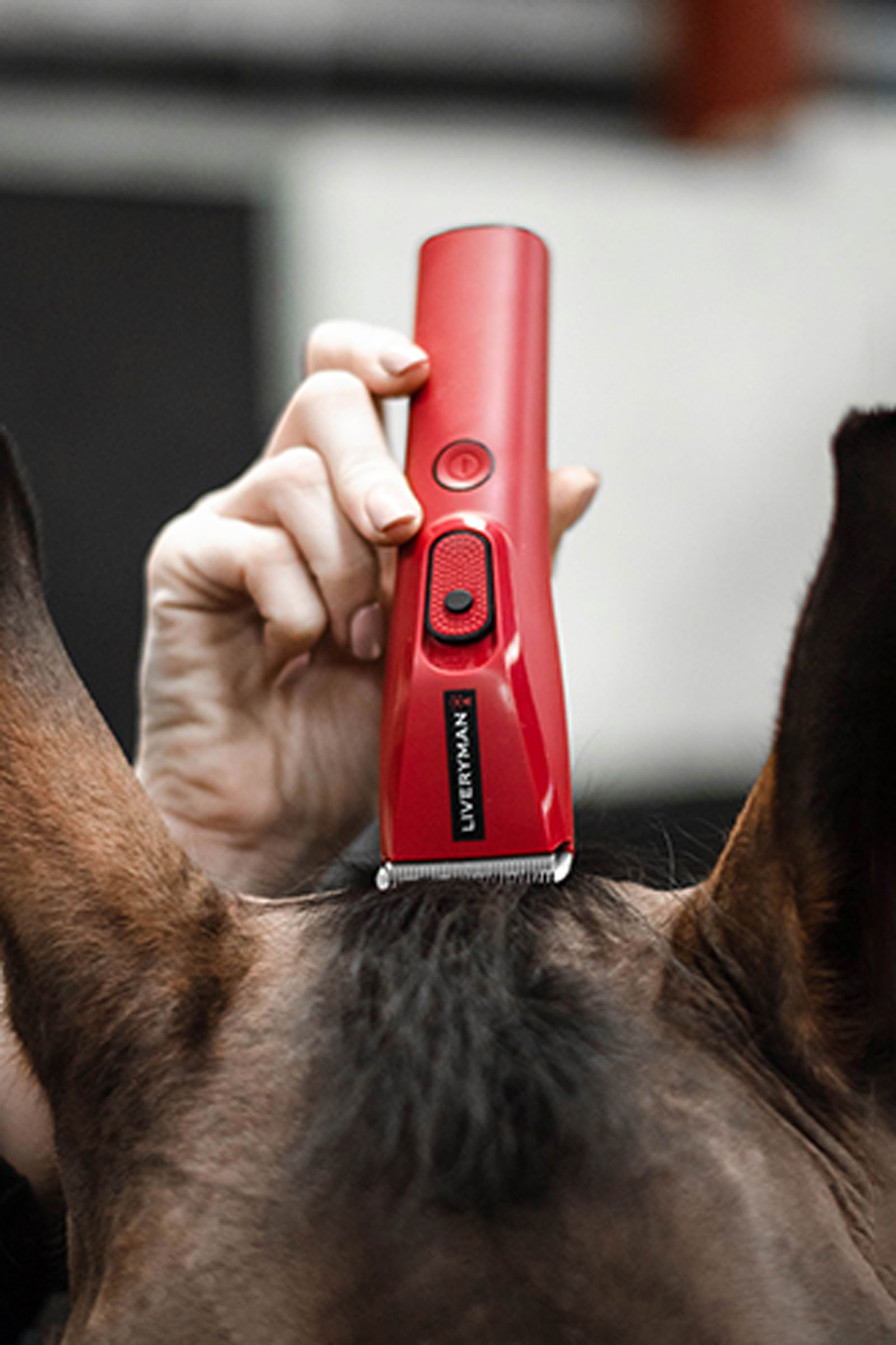 Liveryman Nova Trimmer