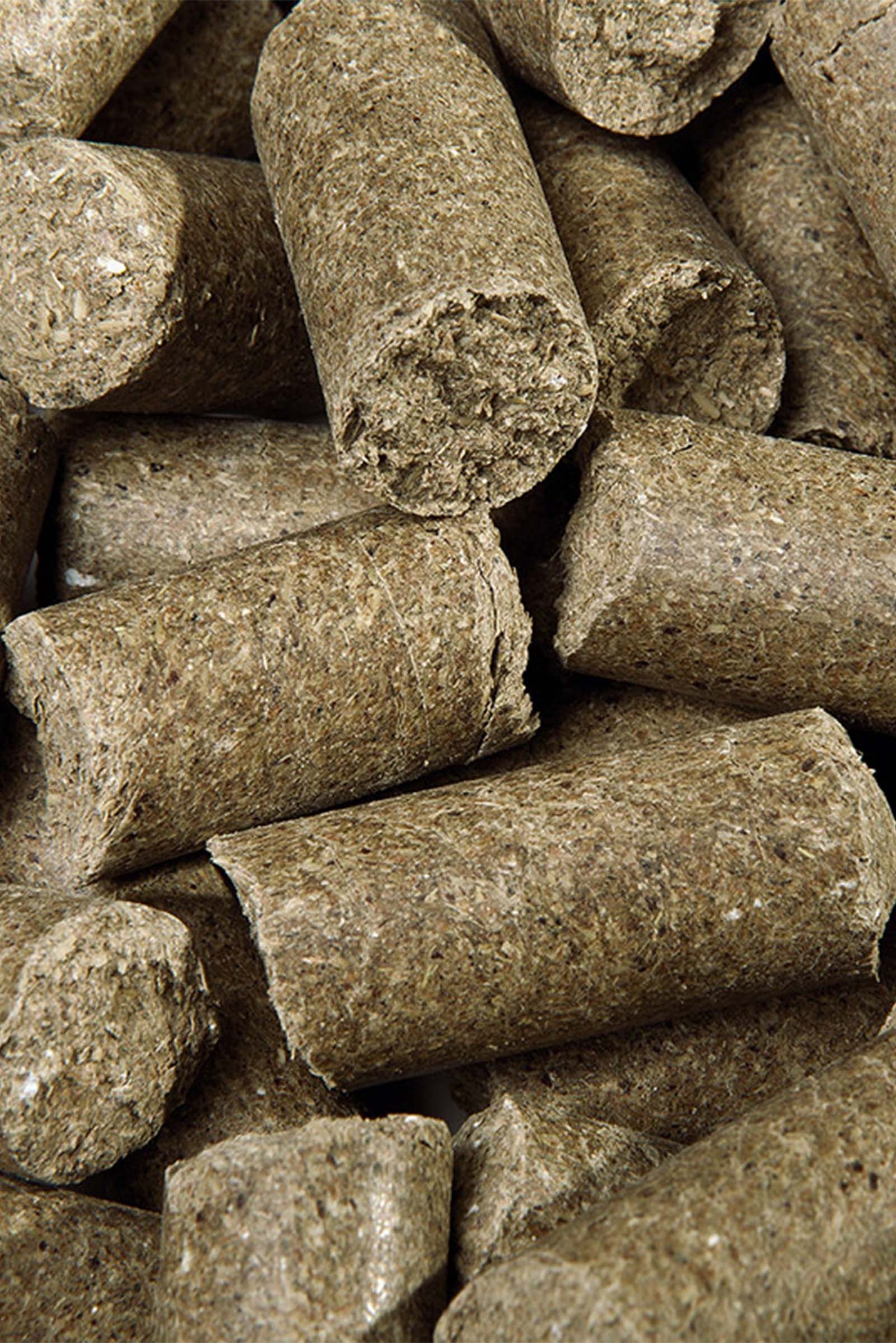 Speed Eucalyptus Delicious Speedies, Leckerli, 1kg