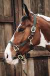 Kentucky Horsewear Plaited Nylon Stallhalfter