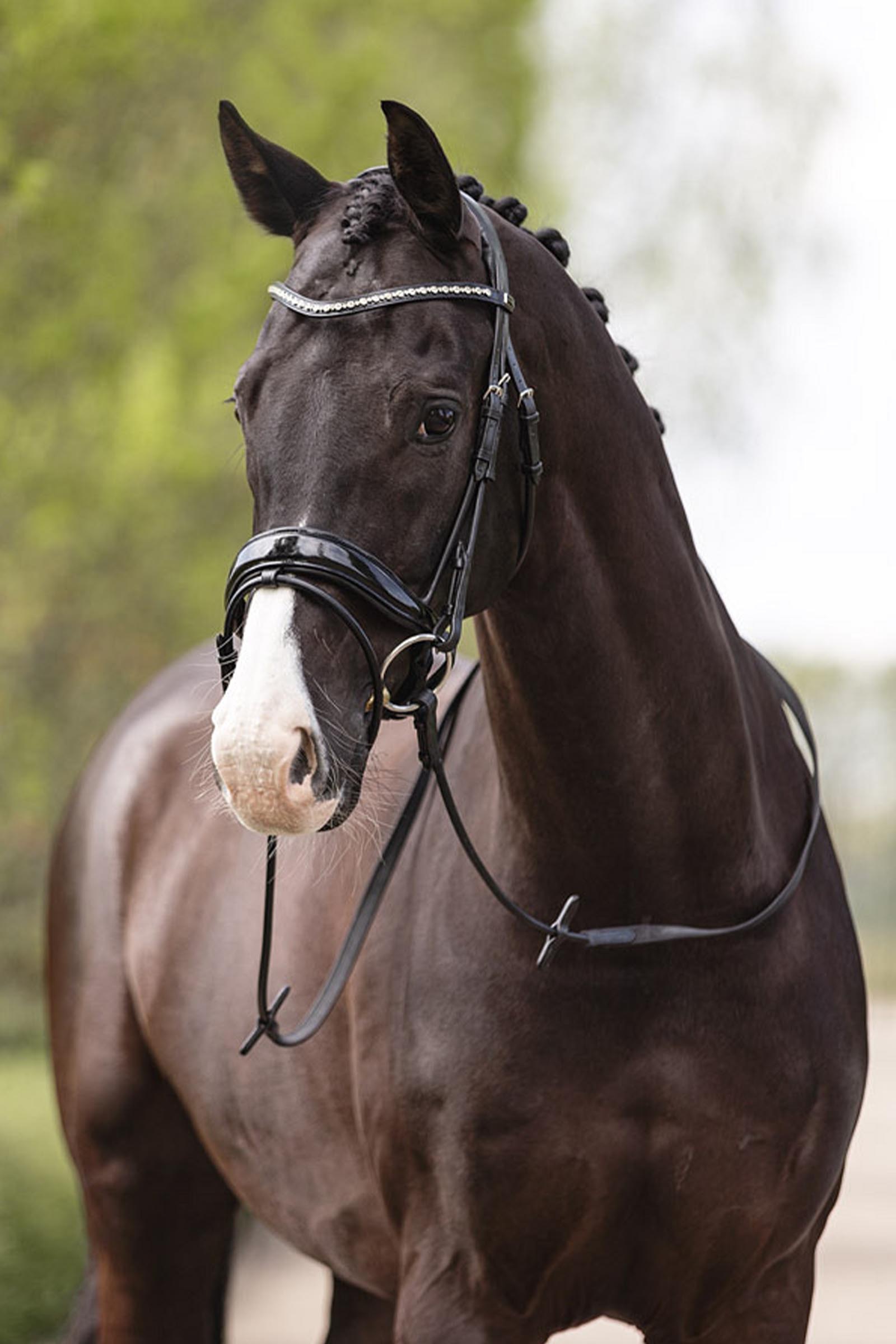 ANKY Anatomic Comfort Fit Trense mit zur&uuml;ckgeschnittenem Genickst&uuml;ck