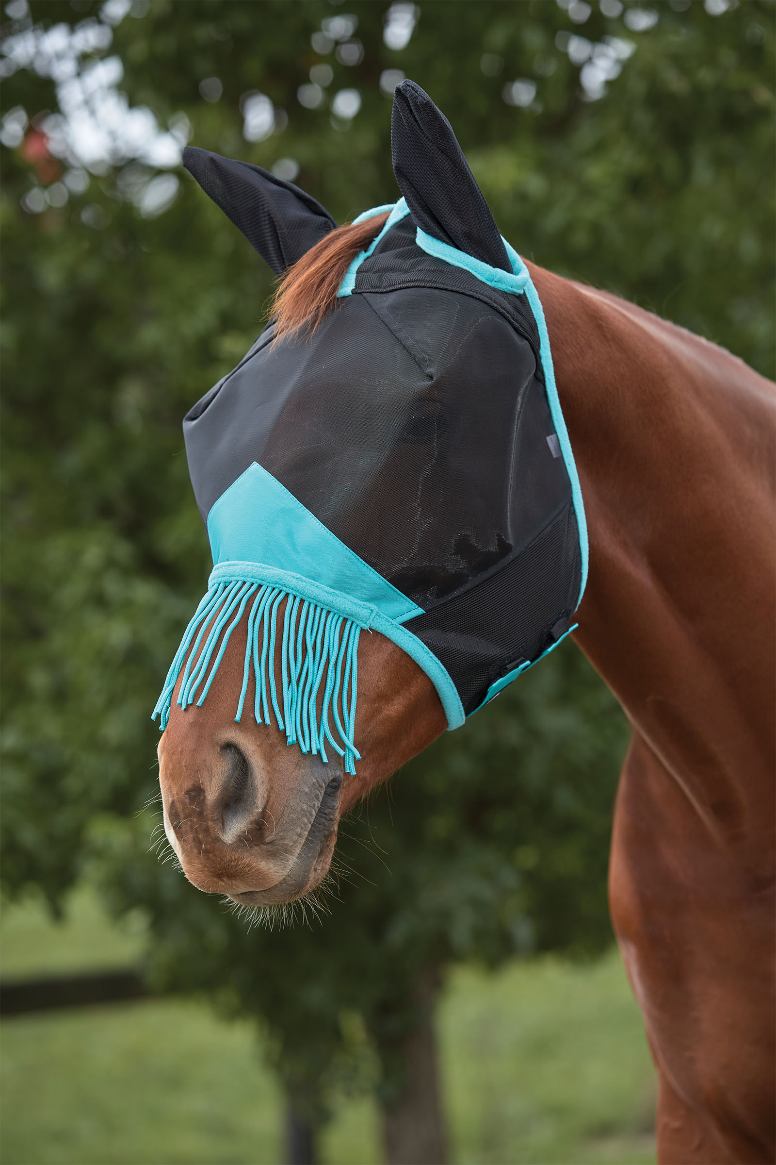 Weatherbeeta Comfitec Deluxe Fine Mesh Fliegenmaske mit Ohren und Fransen