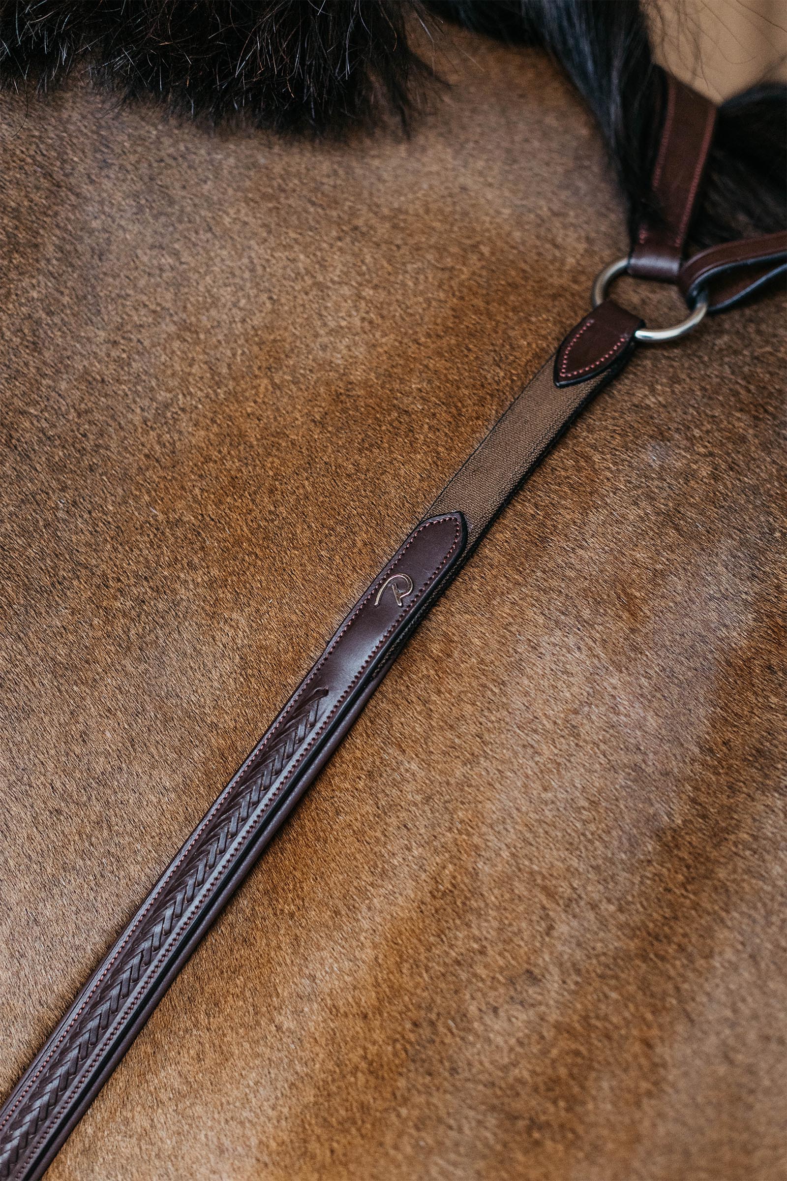 Dy'on New English geflochtenes Vorderzeug mit Brücke