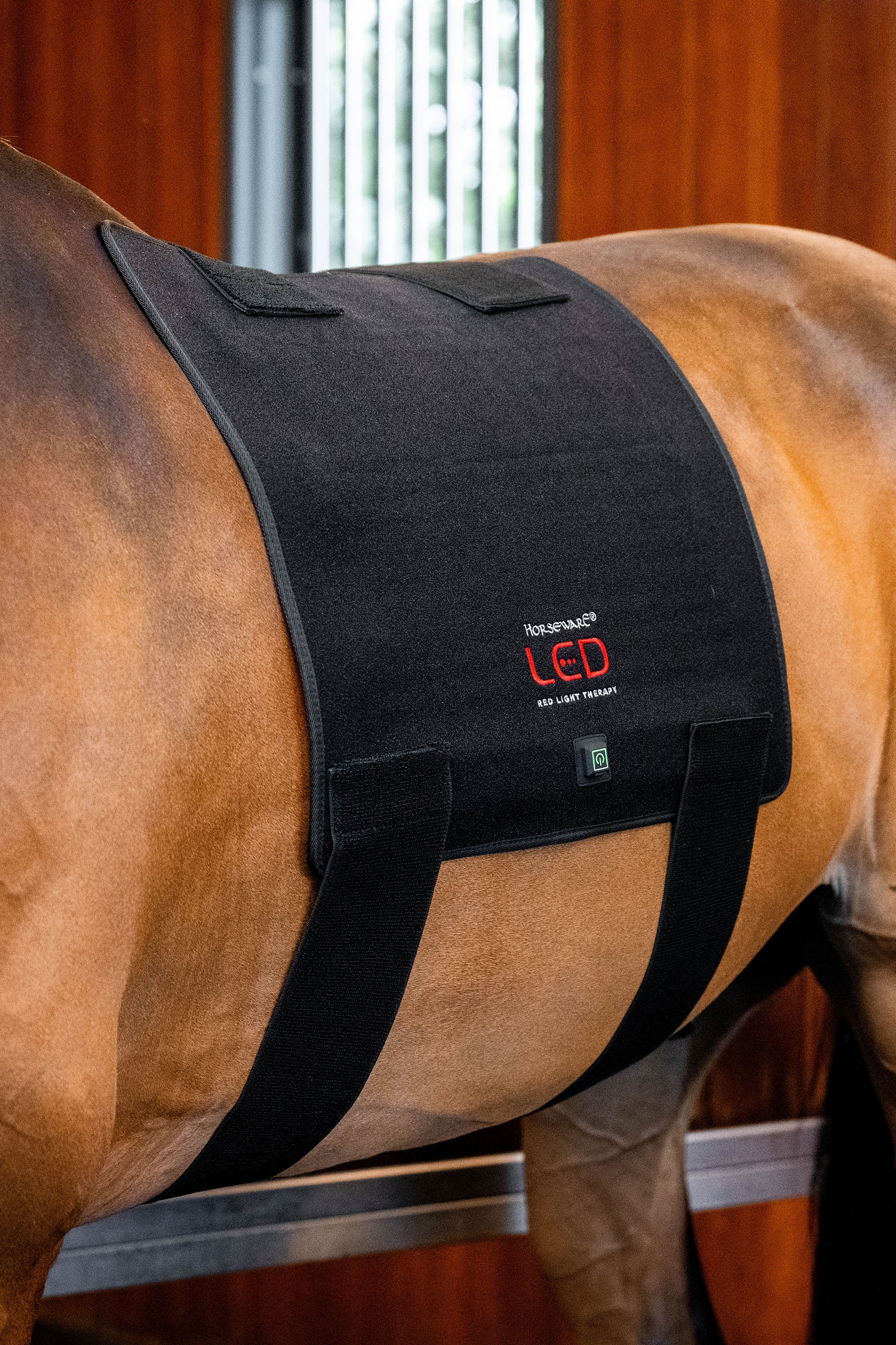 Horseware LED Rotlicht-Therapie Pad