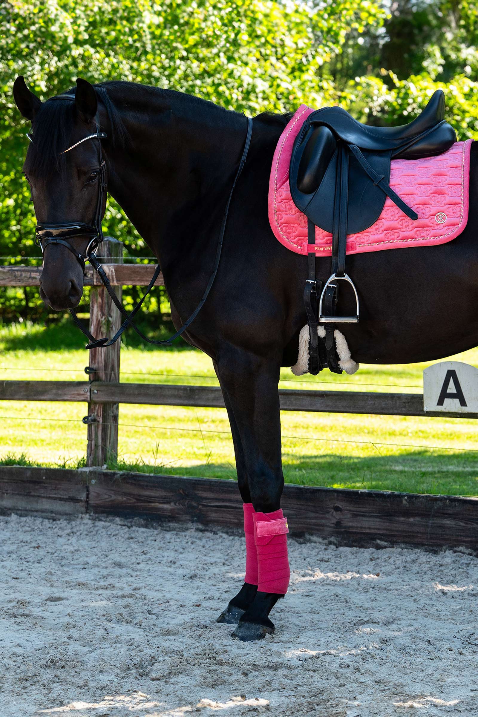 PS of Sweden Velvet Monogram Dressur Schabracke 