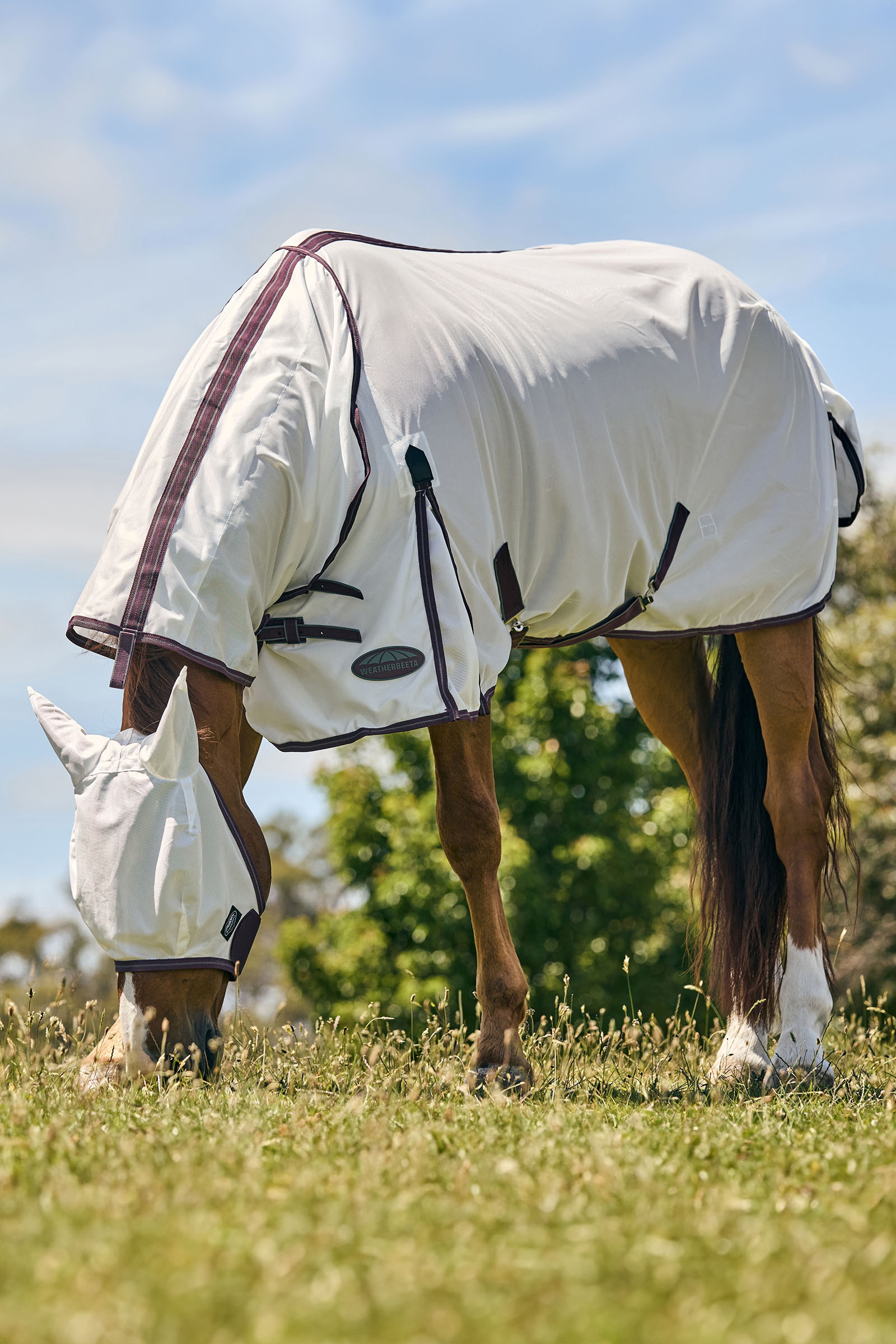 Weatherbeeta Comfitec Essential Mesh Maske