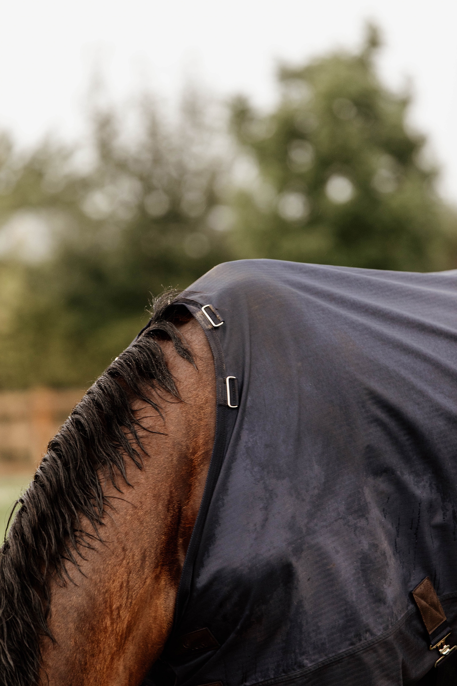 Kentucky Horsewear All Weather Weidedecke,  300g