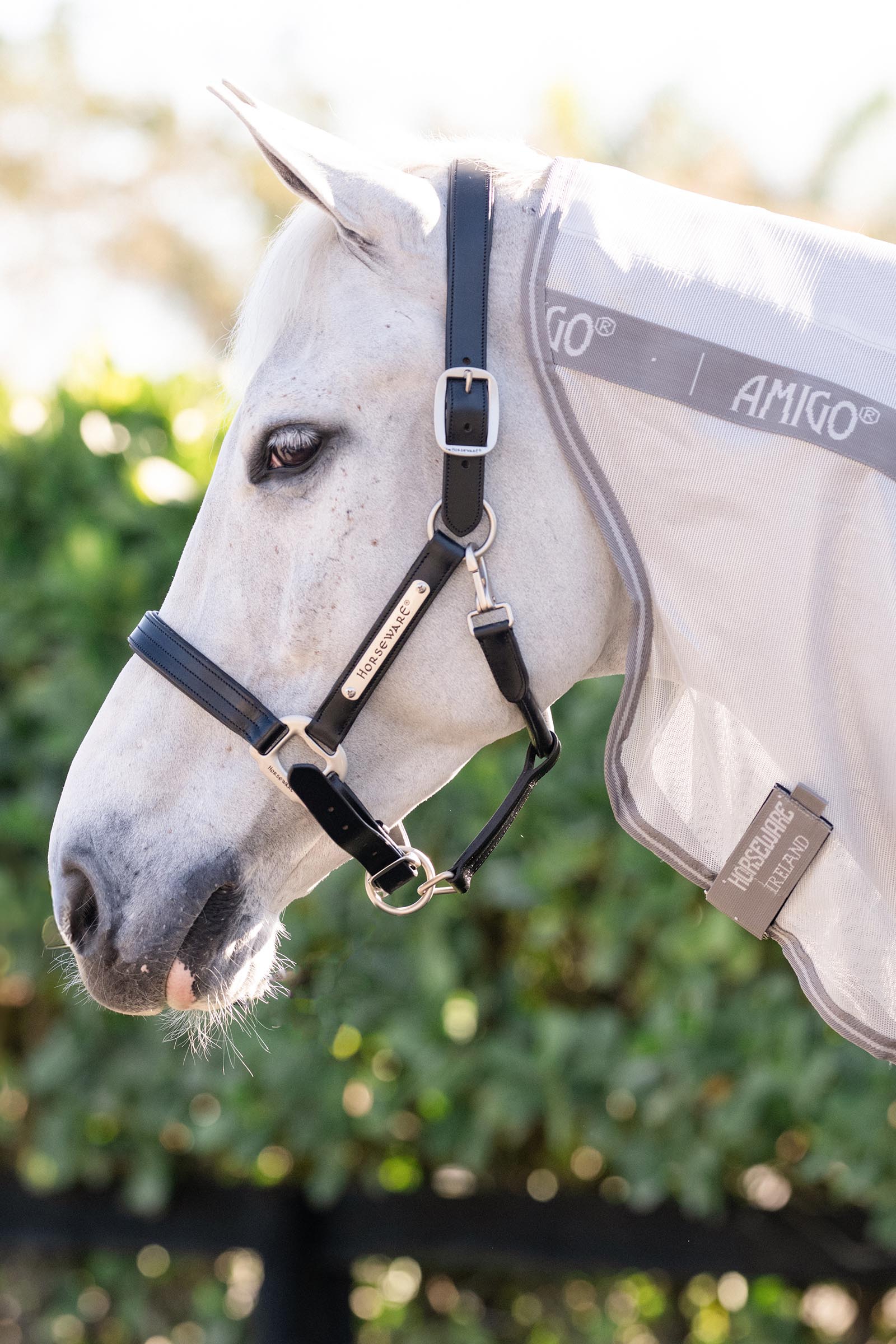 Horseware Amigo Integrierte Fliegendecke