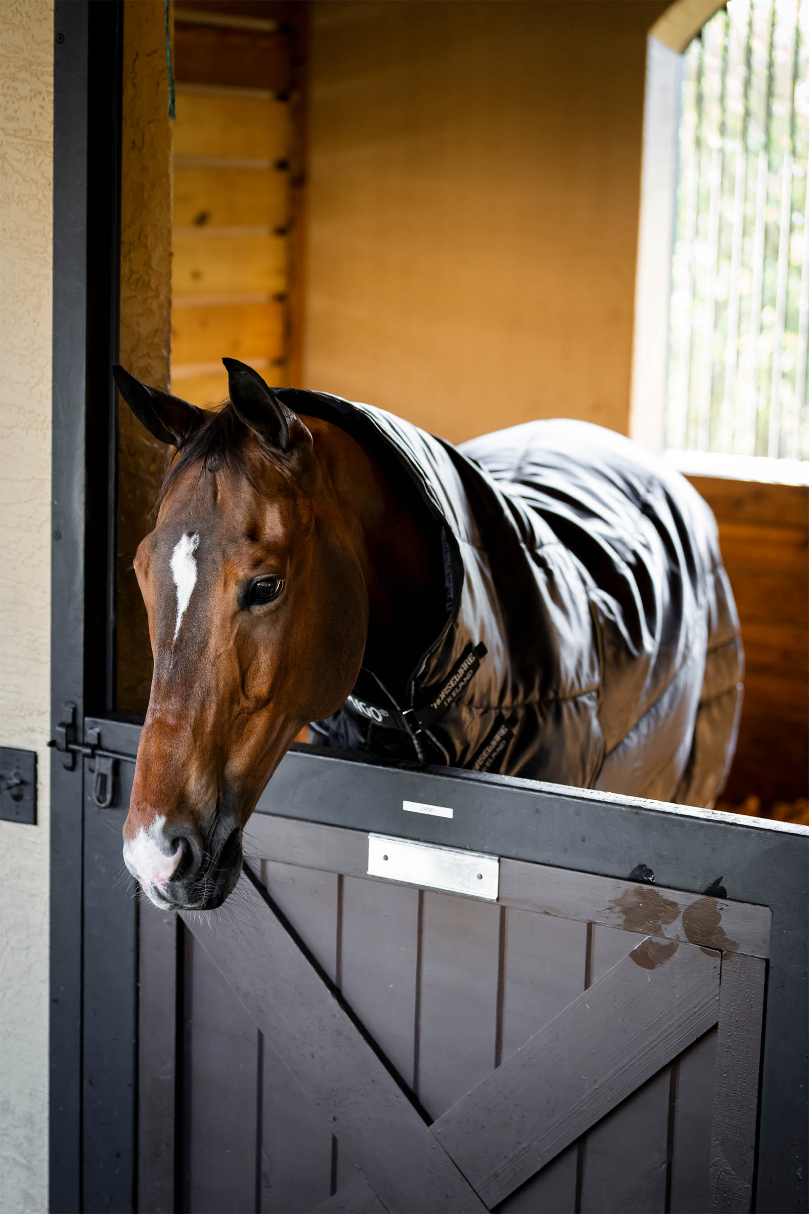 Horseware Amigo Ripstop Insulator Plus Stalldecke, 200 g