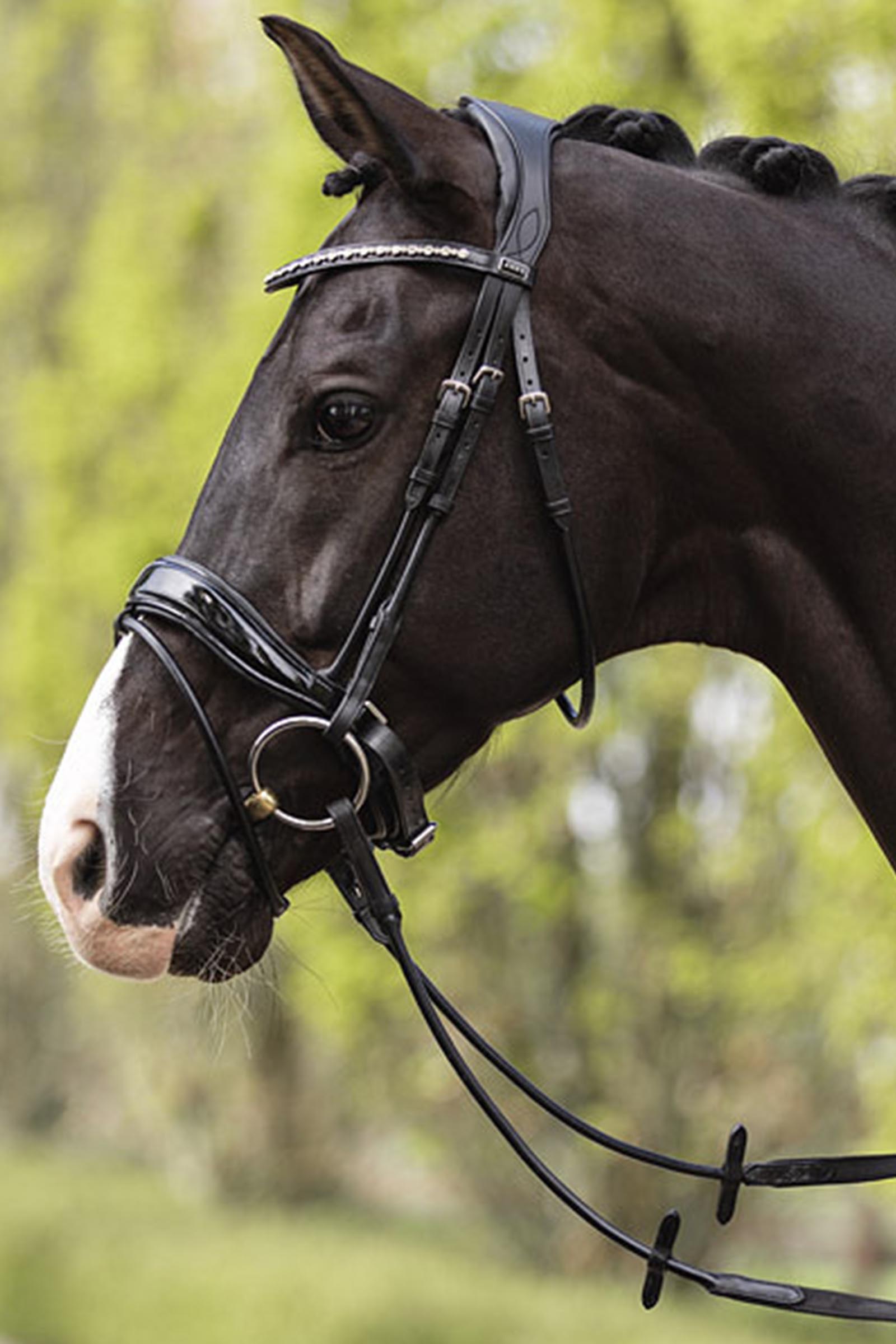 ANKY Anatomic Comfort Fit Trense mit zur&uuml;ckgeschnittenem Genickst&uuml;ck