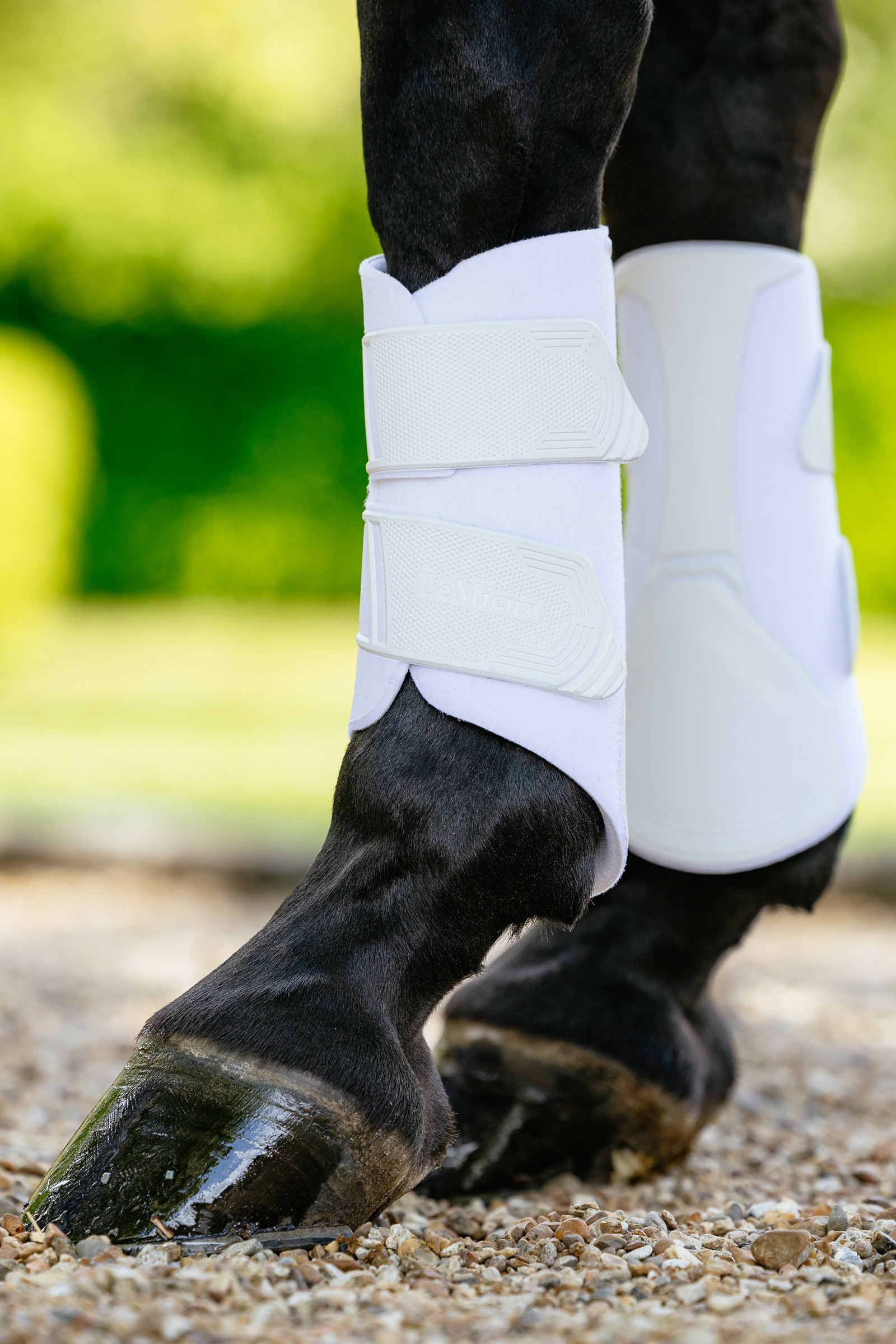 LeMieux Technical Dressurgamaschen