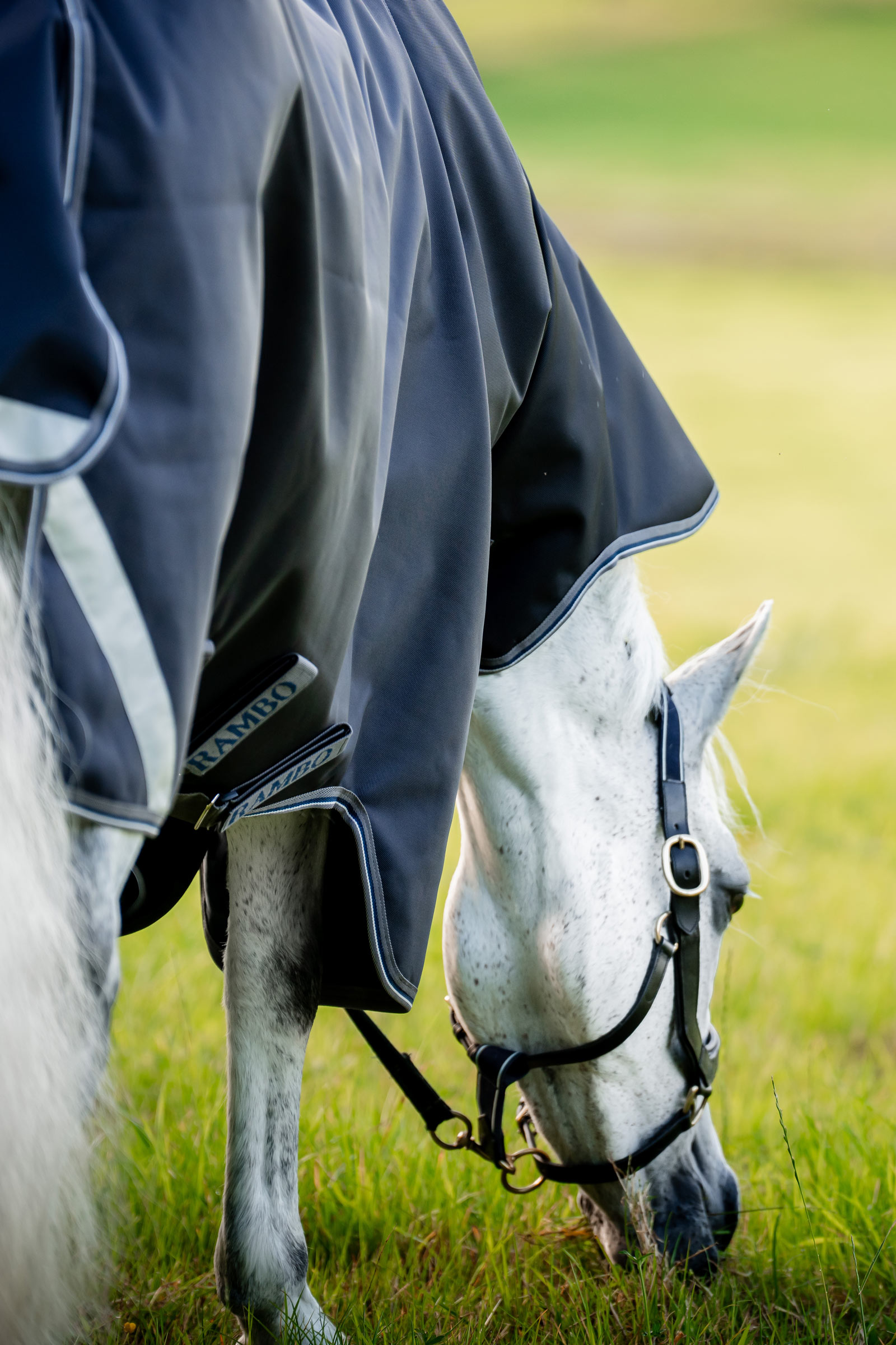 Horseware Rambo 1680D Plus Vario Layer Outdoordecke, 250 g