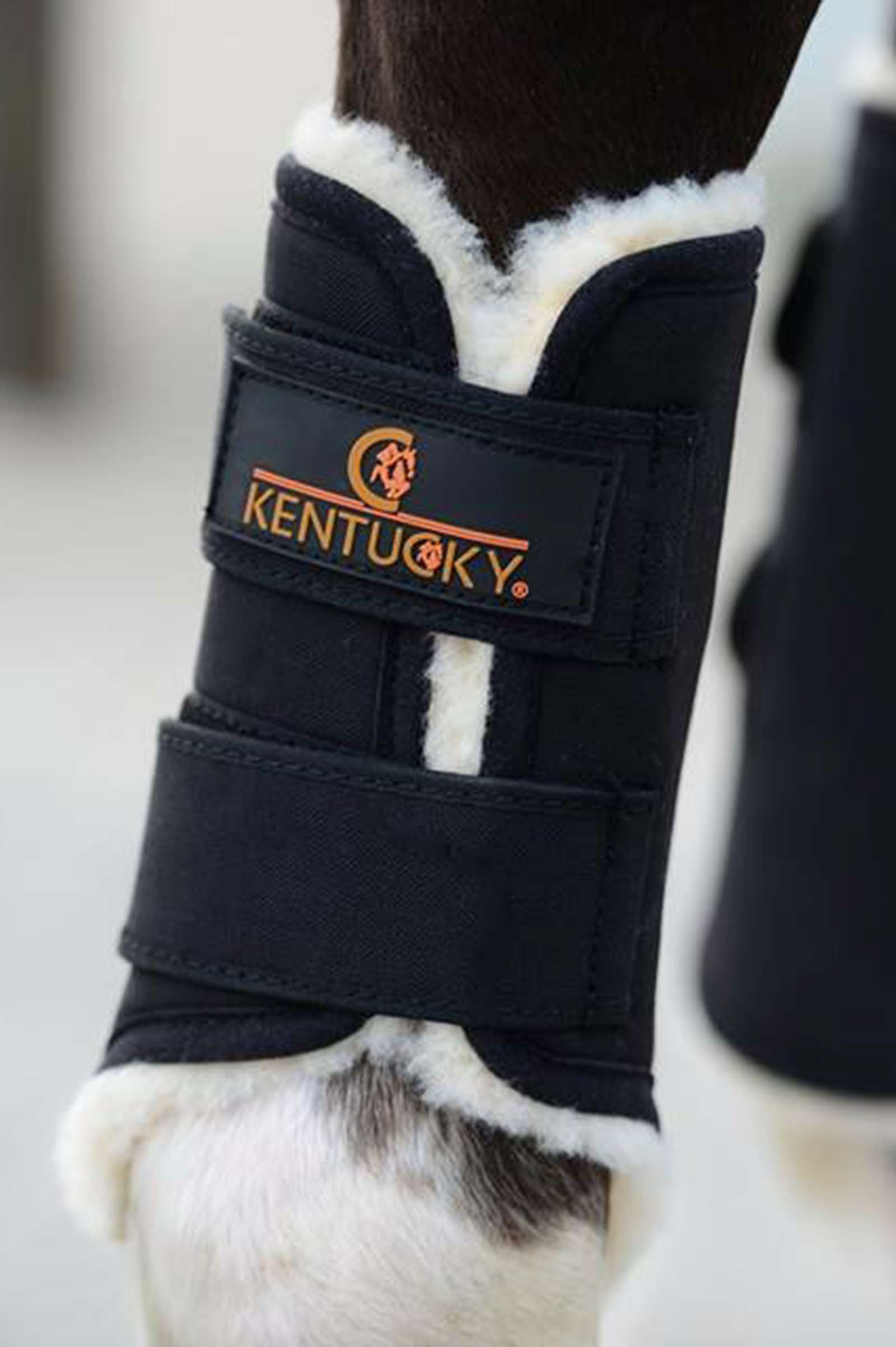 Kentucky Horsewear Solimbra Arbeitsgamaschen Hinten
