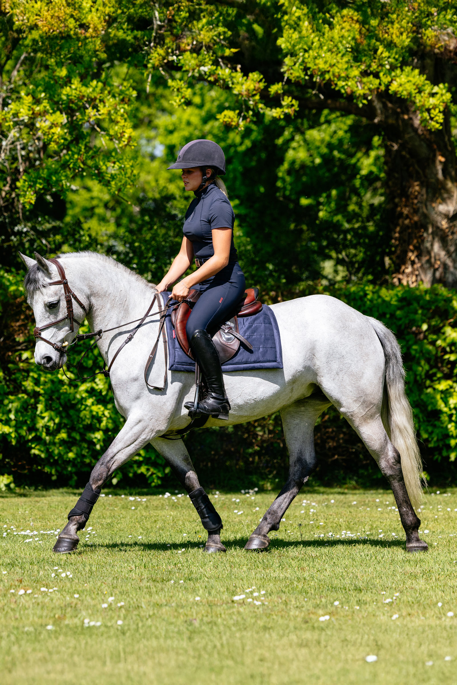 LeMieux Pillow gepolsterte Vielseitigkeitsschabracke