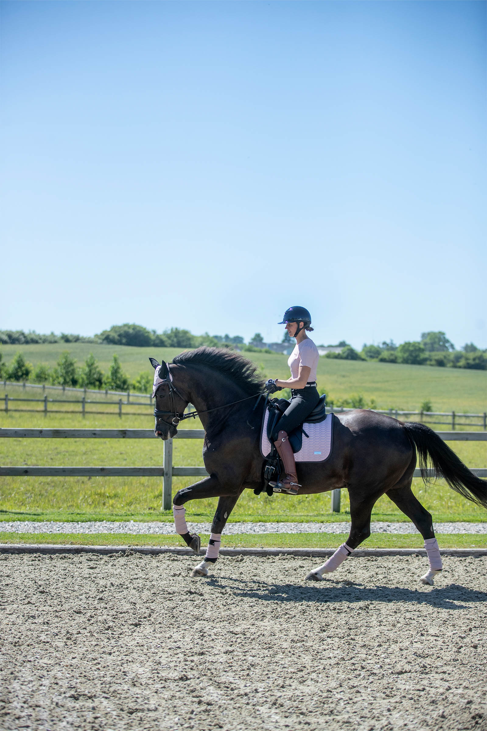 Catago FIR-Tech Grand Dressur Schabracke