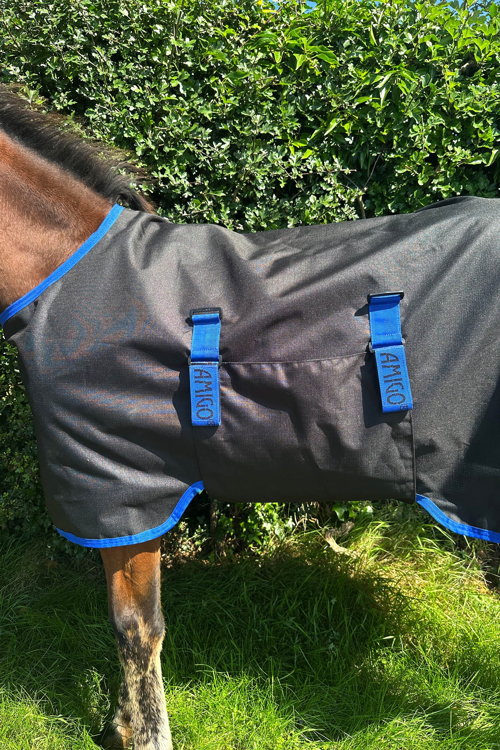 Horseware Amigo Ripstop 900D Weidedecke für Fohlen 50g