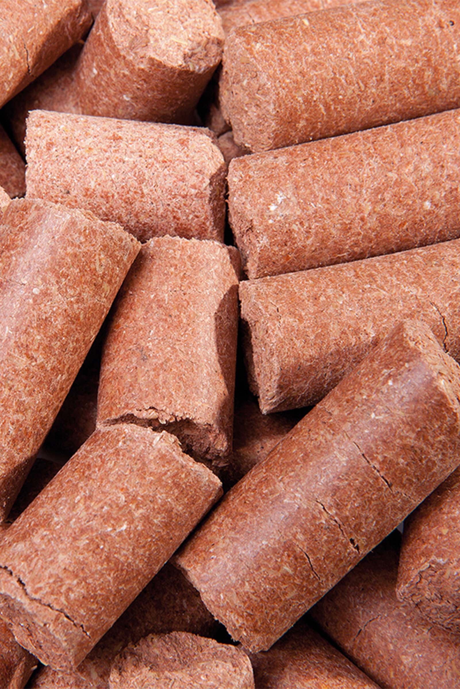 Speed Carrot Delicious Speedies, Leckerli, 5kg