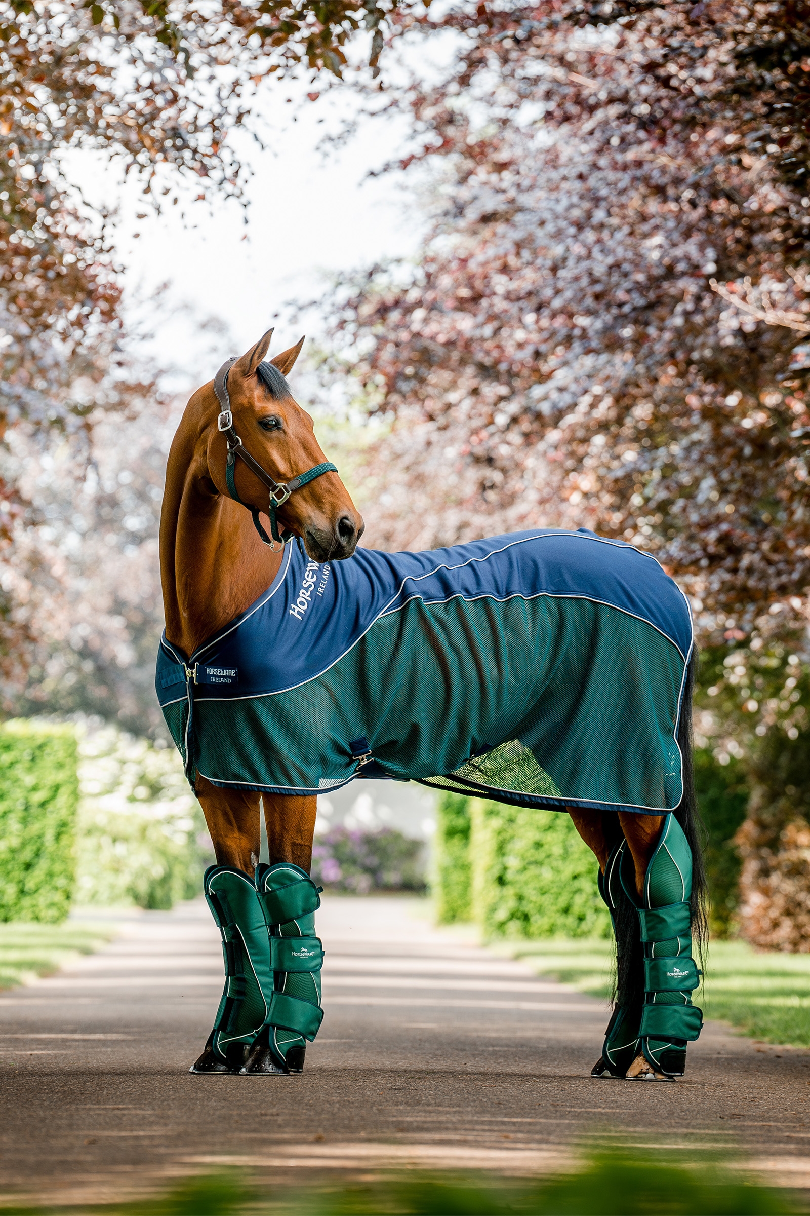 Horseware Signature Transport Gamaschen