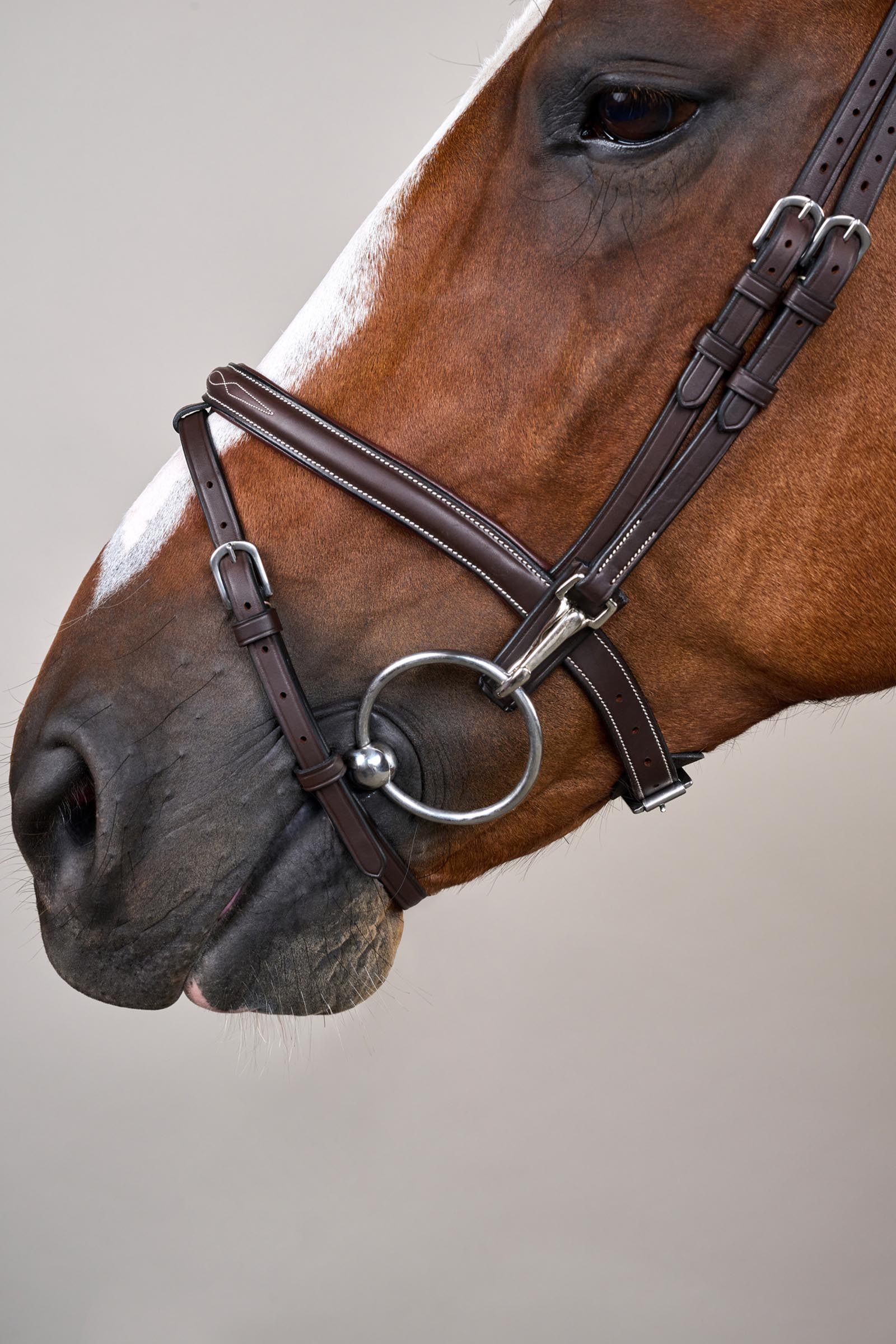 Dy'on Working Trense mit kombiniertem Reithalfter und Karabinerhaken  