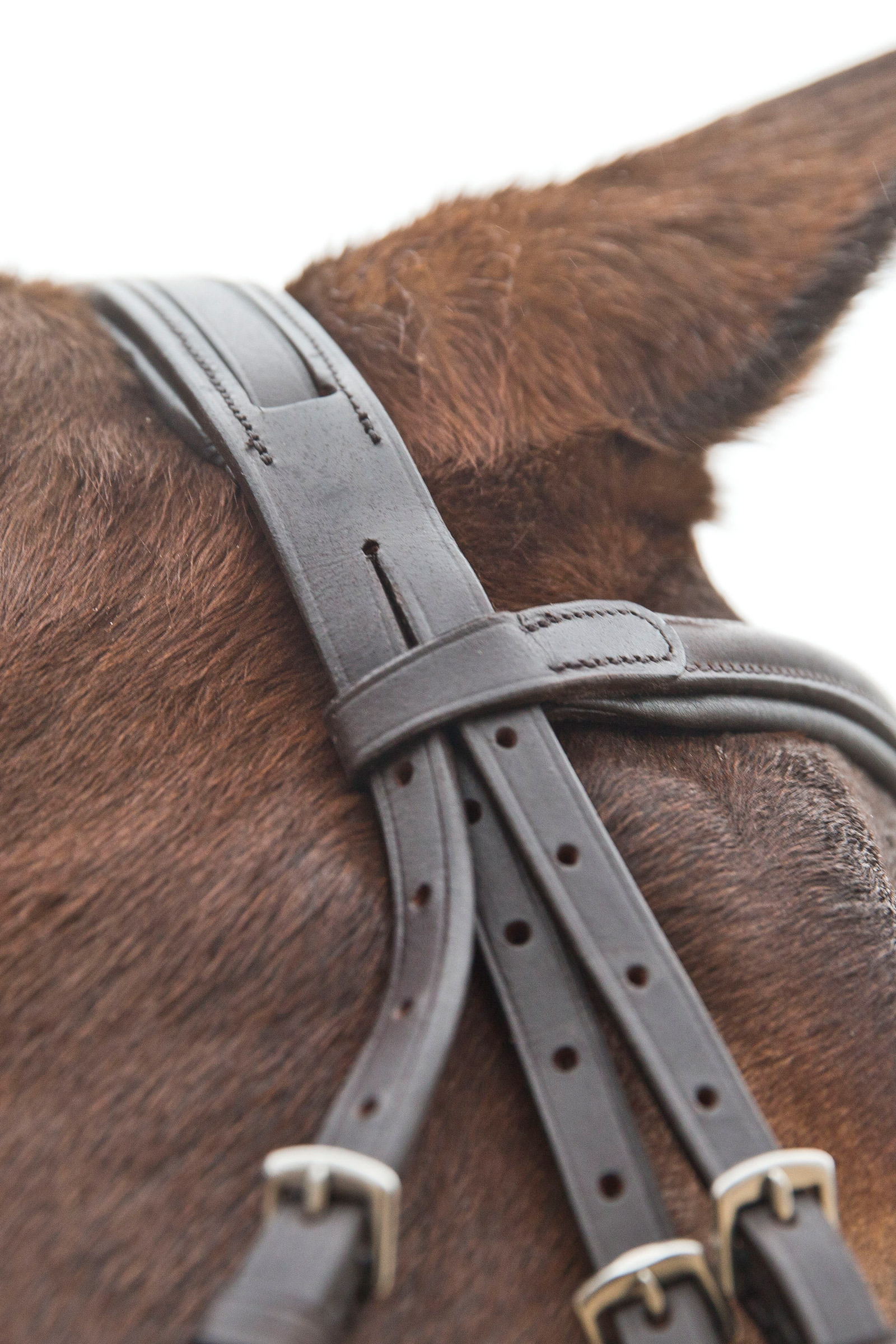 Horze Prescott mexikanische Trense