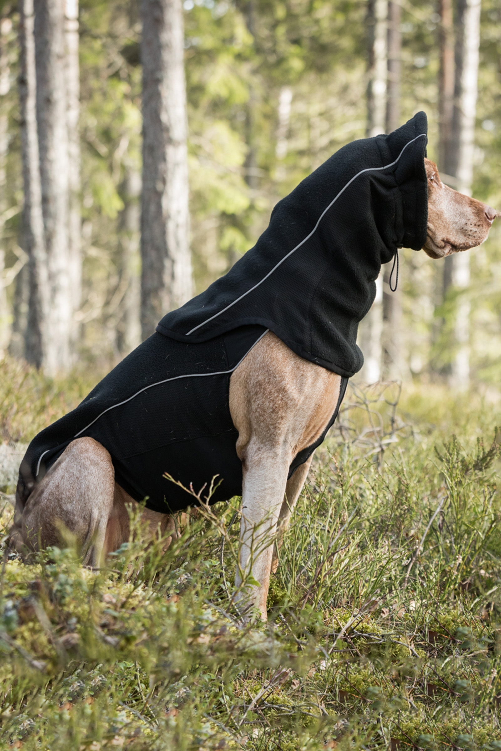 Back on Track Benji Hunde Halsw&auml;rmer