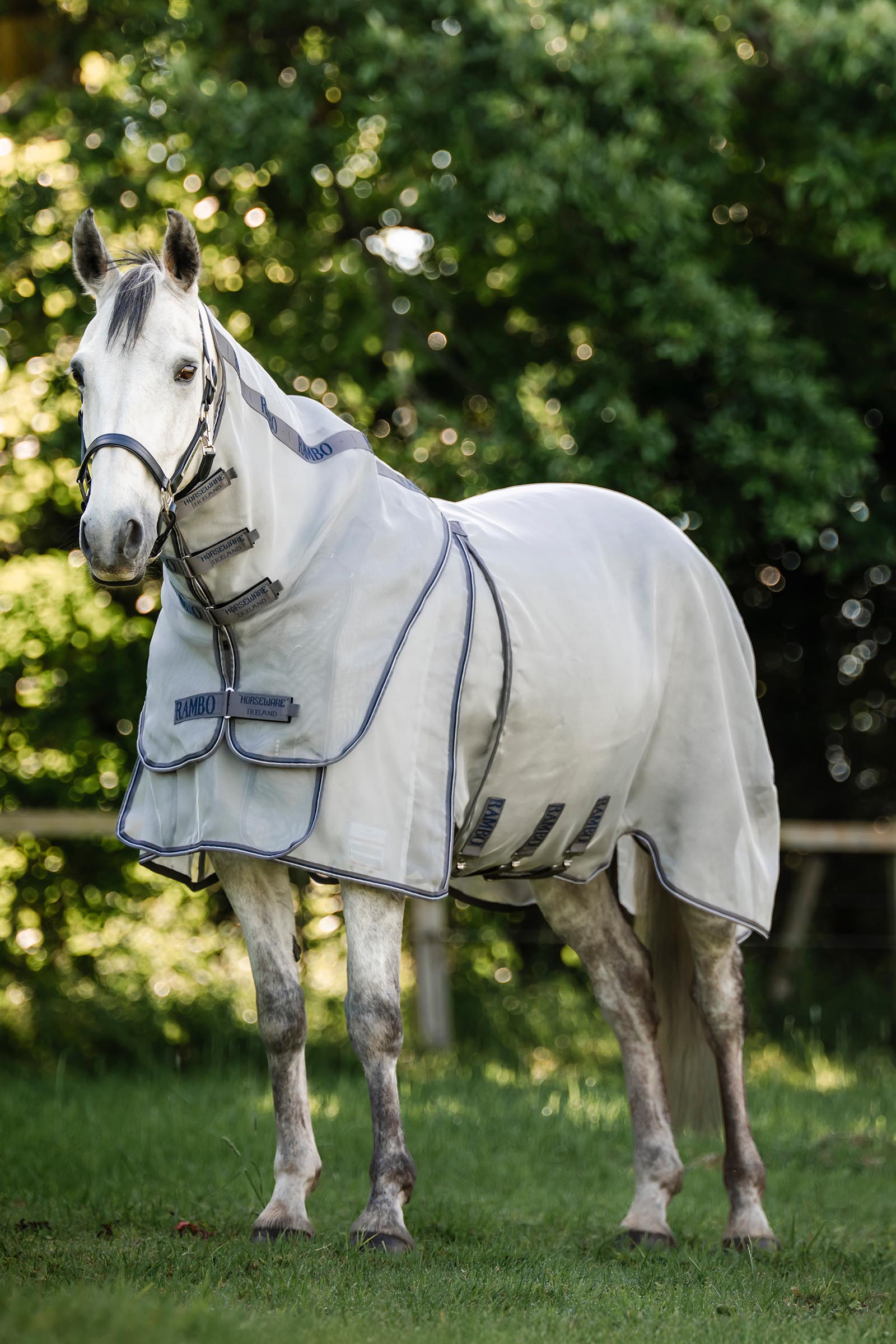 Horseware Rambo Optimo Protector Plus Weidedecke