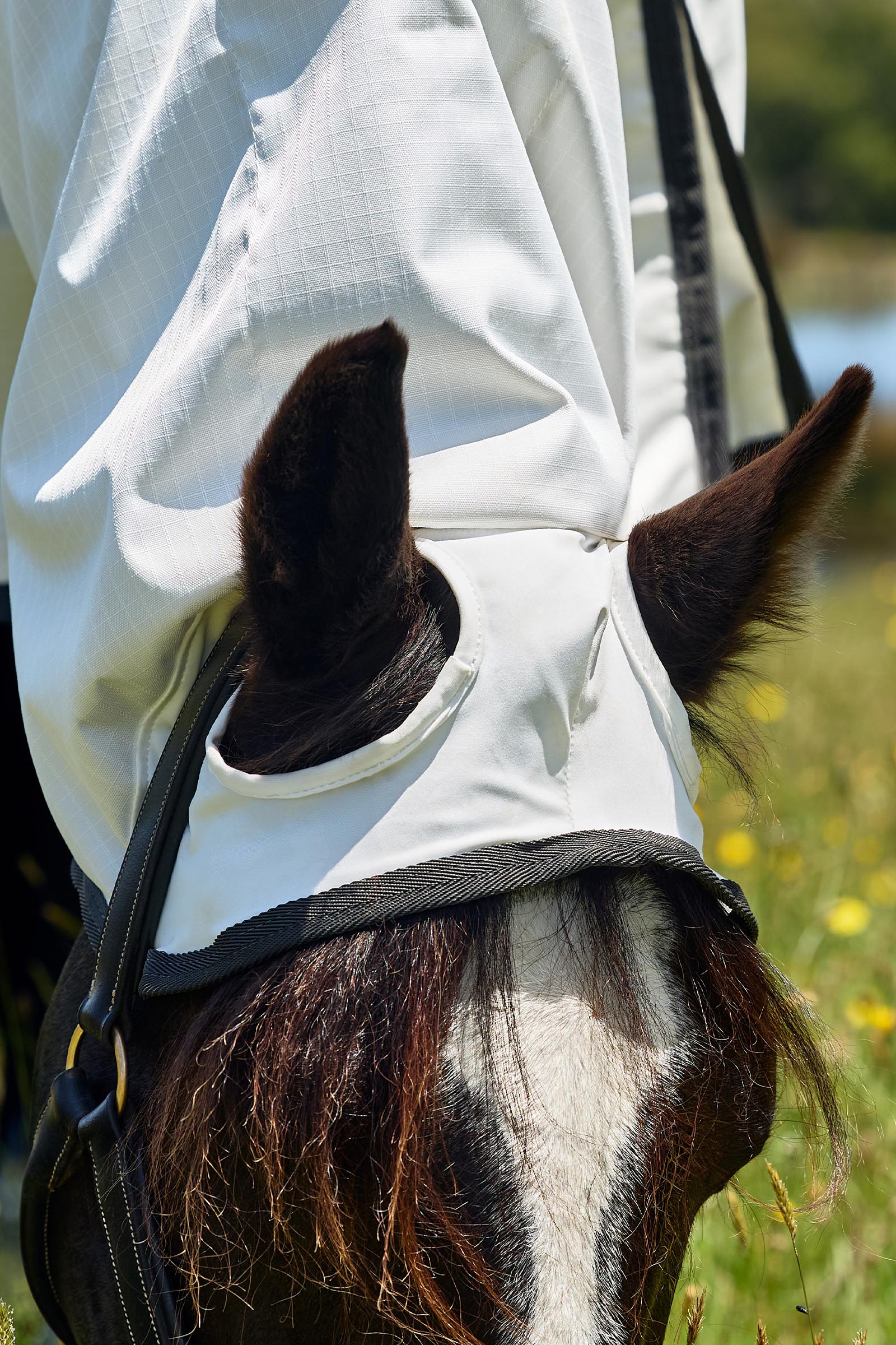 Weatherbeeta ComFiTec Sweet Itch Shield Fliegendecke Kombi mit festem Hals, 0 g  