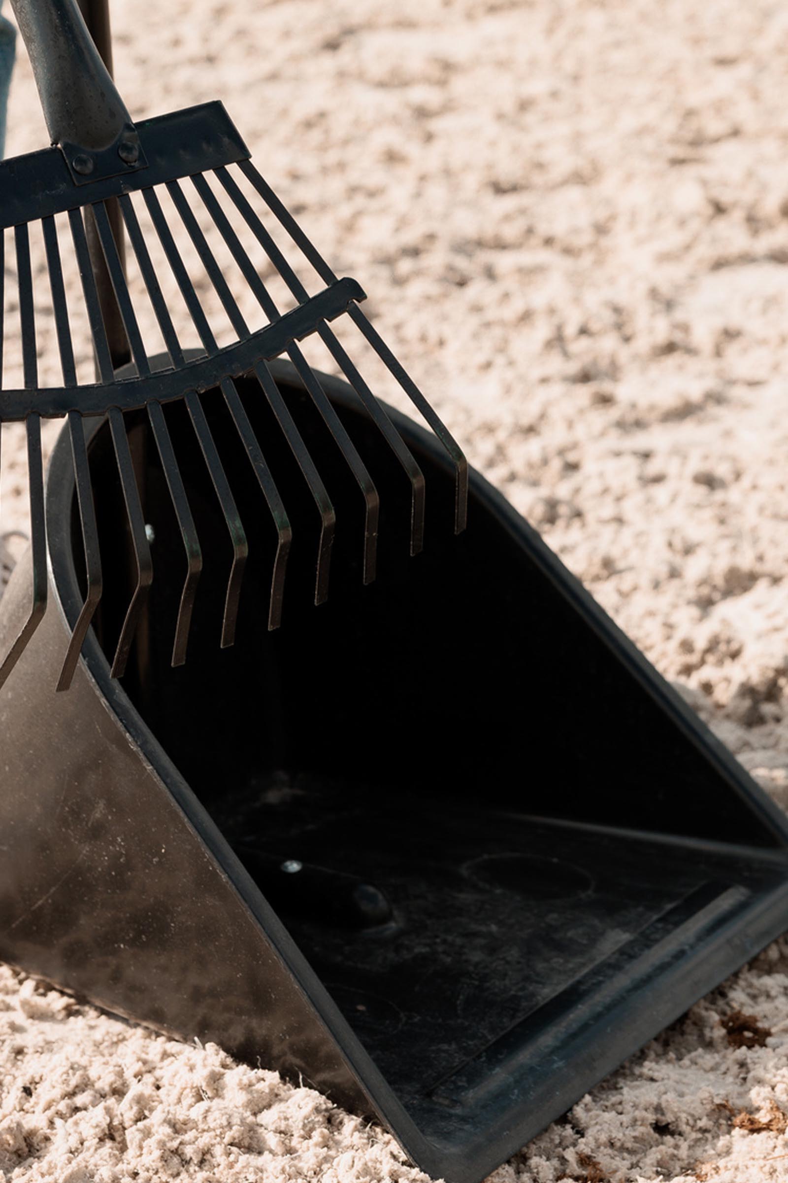 Grooming Deluxe Mistboy & Rechen  