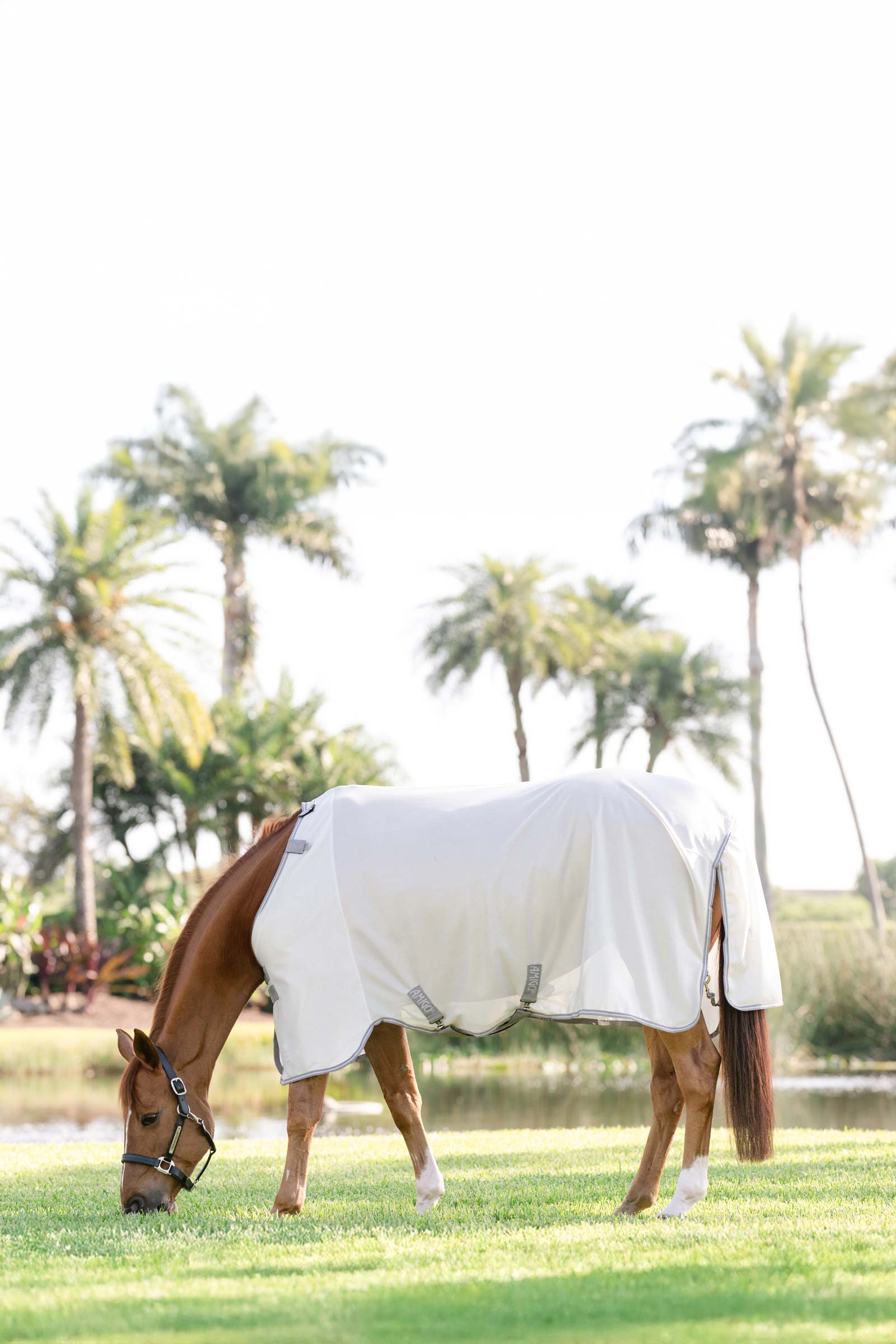 Horseware Amigo Fliegendecke mit UV-Schutz