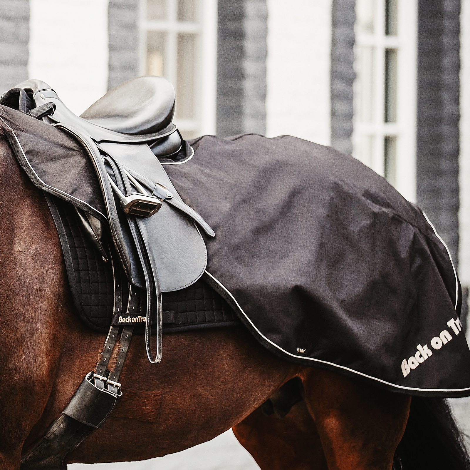 Back on Track Sammy Ausreitdecke, 50g