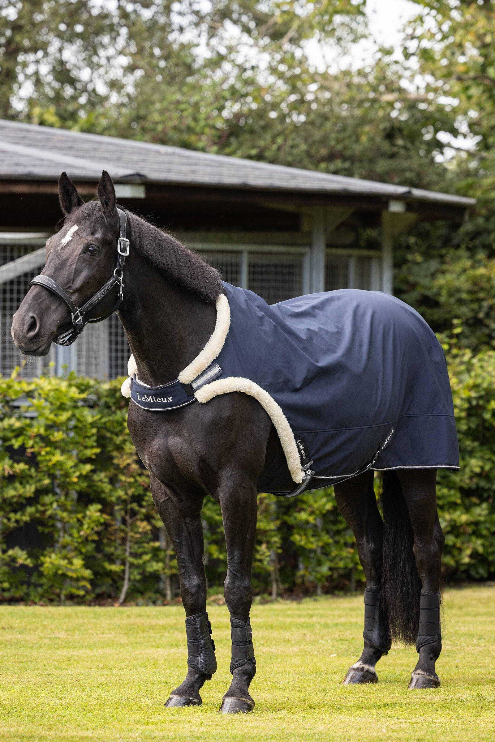 LeMieux F&uuml;hranlagendecke