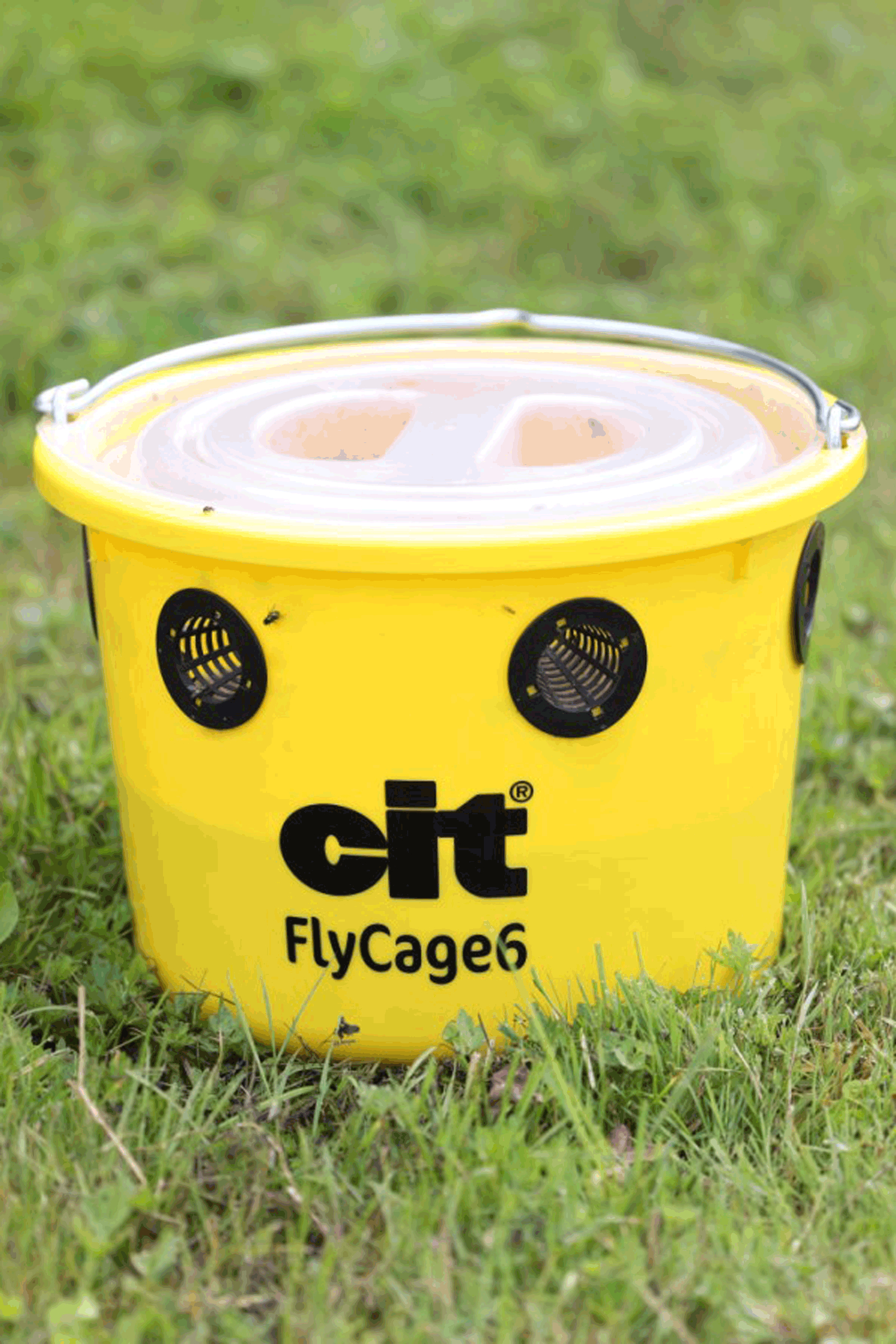 Kerbl Cit FlyCage6 Fliegenfalle, Set inkl. 750 g Lockstoff