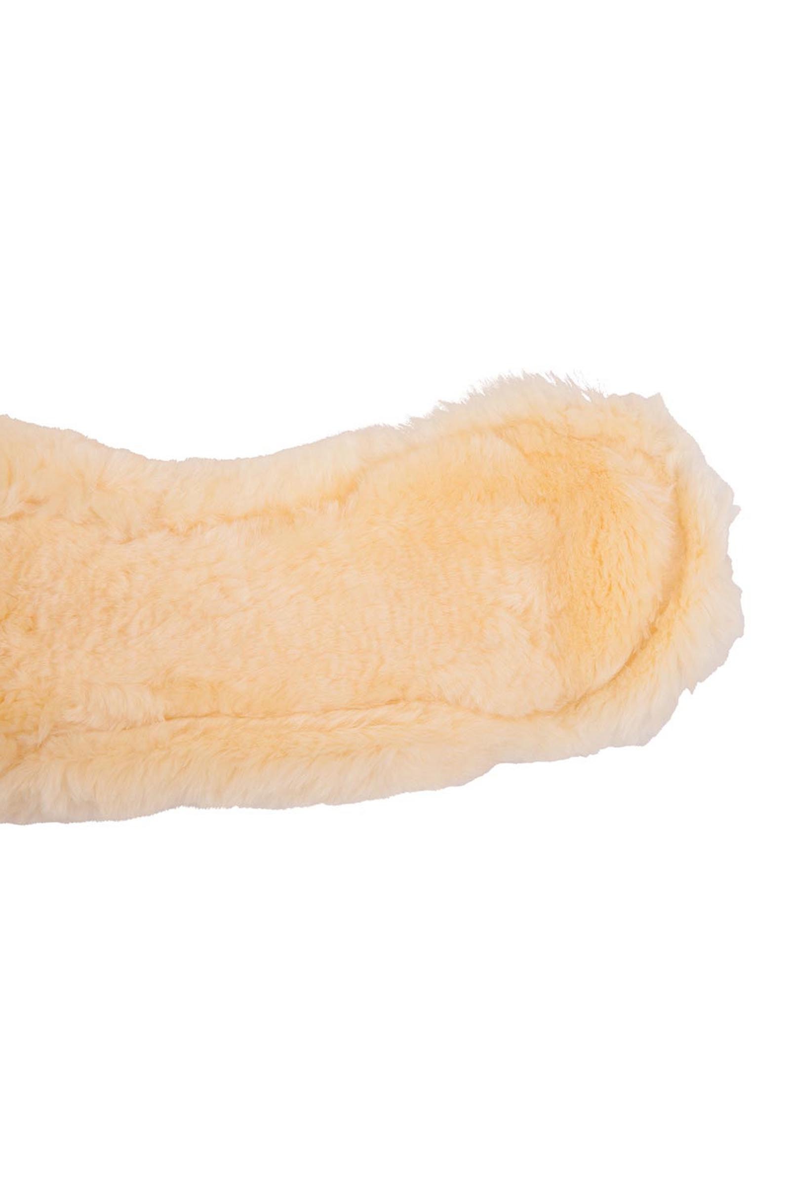 BR Eclipse Dressurgurt