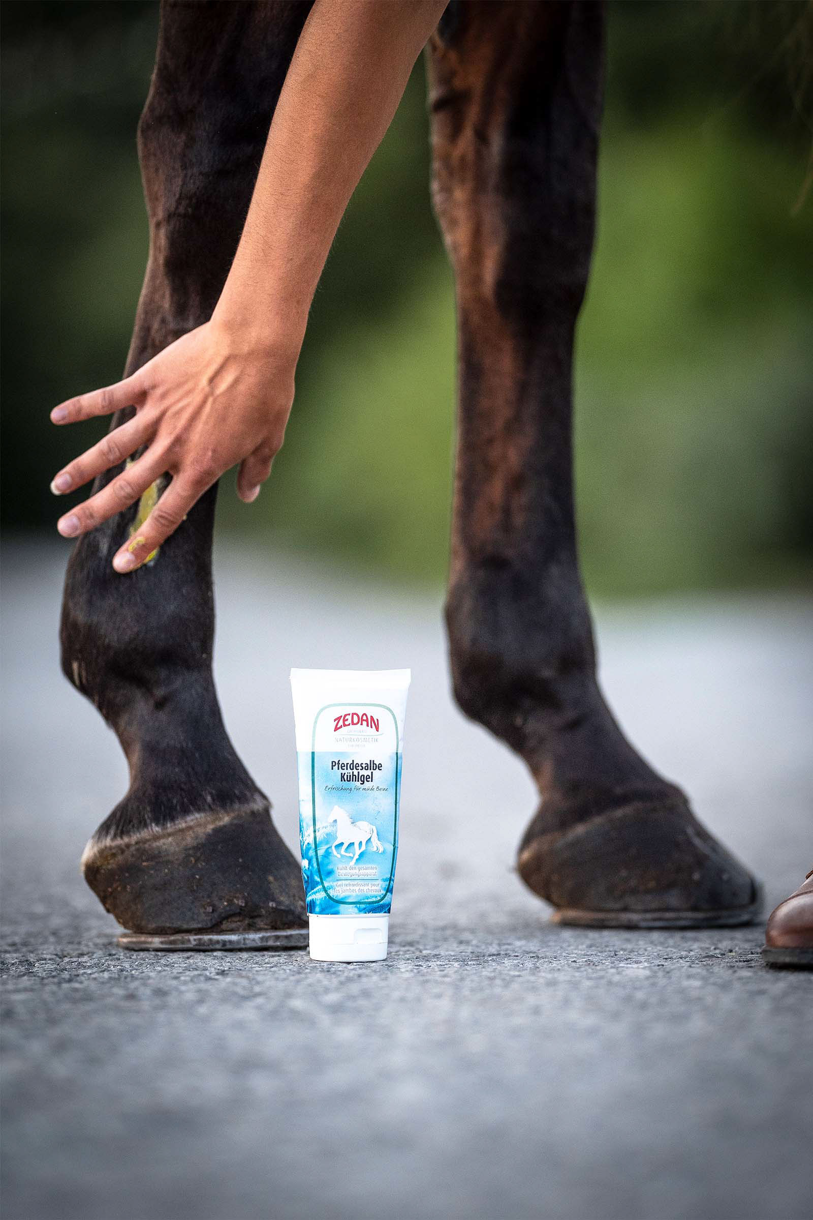 Zedan Pferdesalbe K&uuml;hlgel, 200ml